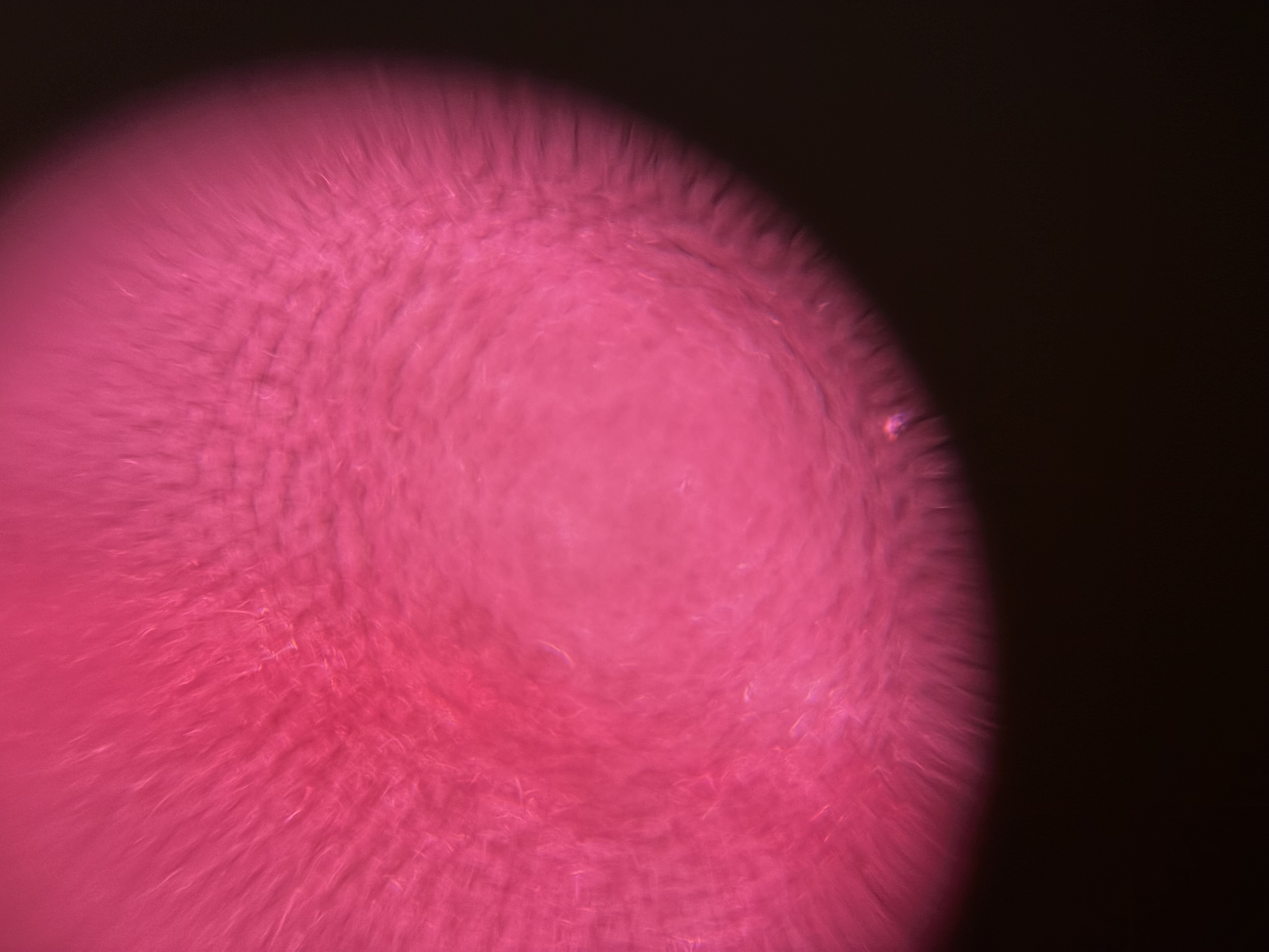 images%2FYSlsR54upAgXmiQMi16YubbRq2f2%2FV8uPBNX7nfWLxMV5ZniC%2Faf215399-6e9d-48f8-8100-afe8af53eb39.jpg?alt=media&token=9ae59b44-68d0-46dc-8f2d-9e64f43379b1