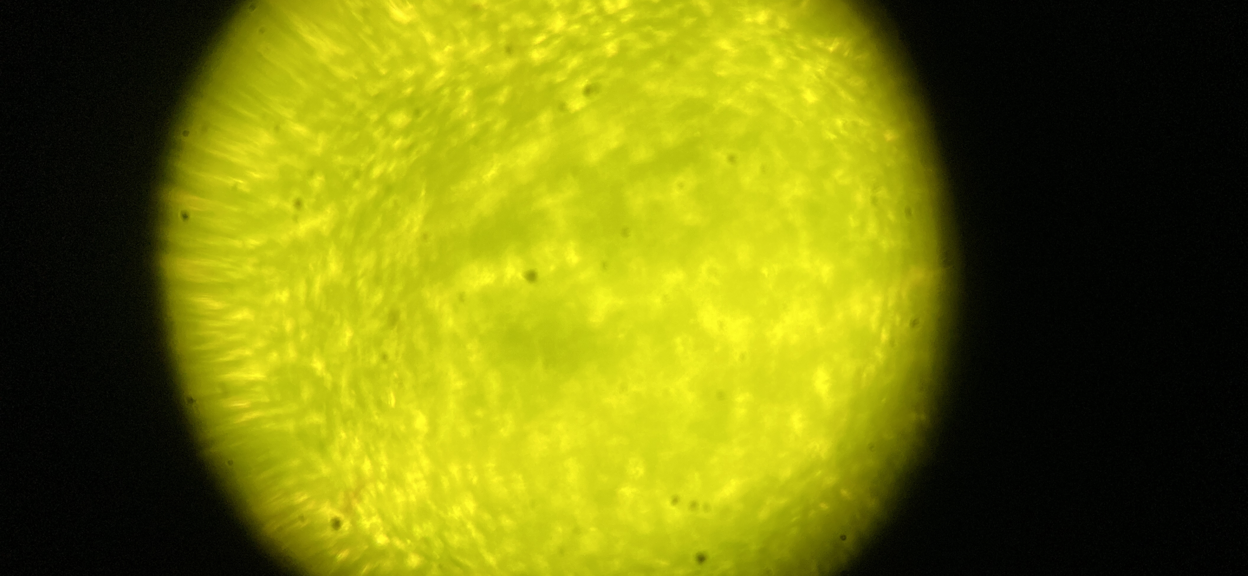 images%2Fc8564eb9-aca0-4fce-8d1e-343a3d8590a3%2F7abafa84-3f06-4842-b8c6-00fe5536df9b.jpg?alt=media&token=ed4276d5-48ef-420b-8c8b-47ccc1945e60