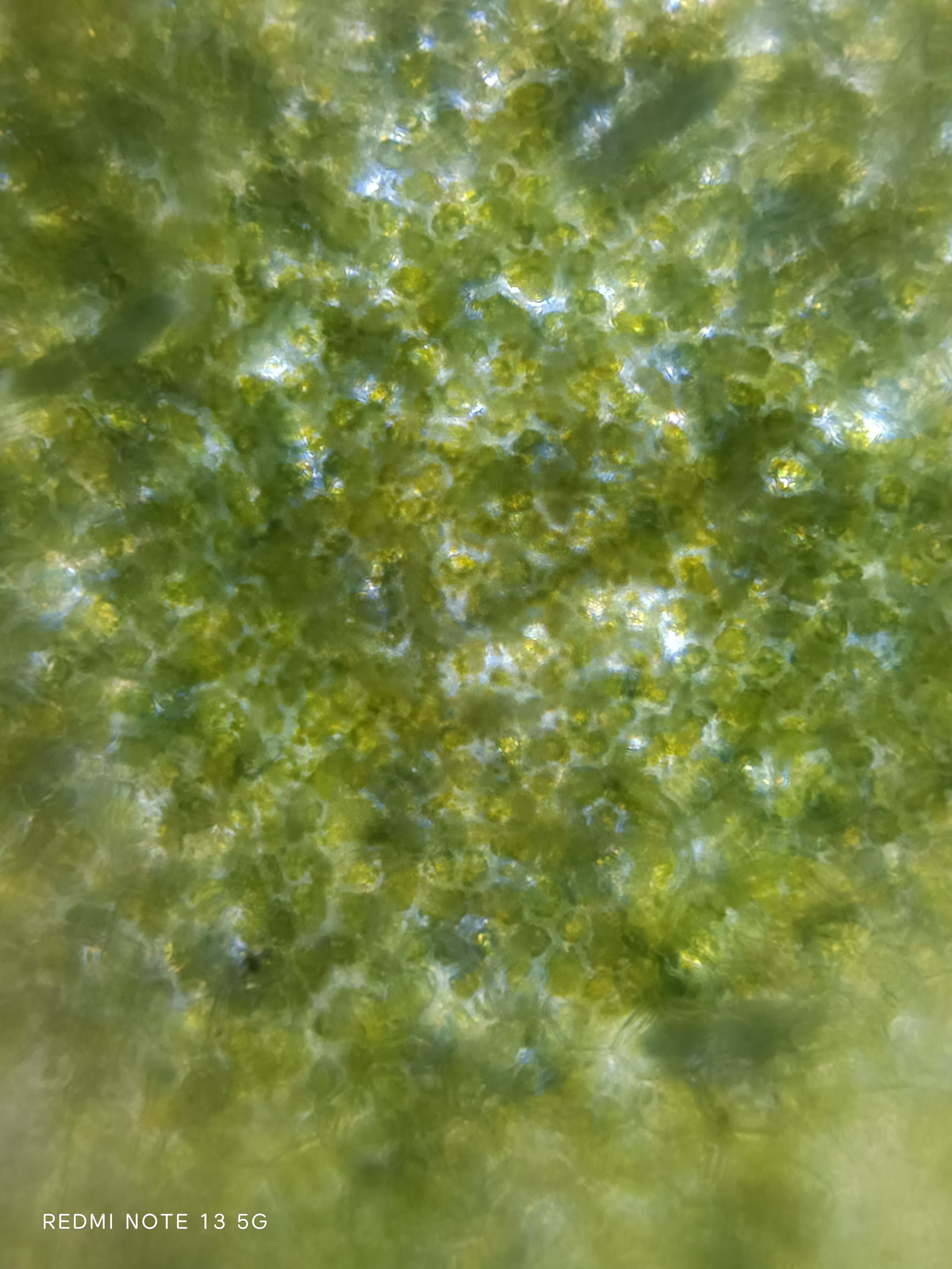 images%2FemXefofqzLRKD9UsWdIrHtPHBNP2%2FCbJFMy75AEJv1Agei1kk%2Fec6bba44-7796-466b-a468-1d1f252764f6.jpeg?alt=media&token=f241e3b7-70cb-4ed9-9416-22320a7d459a