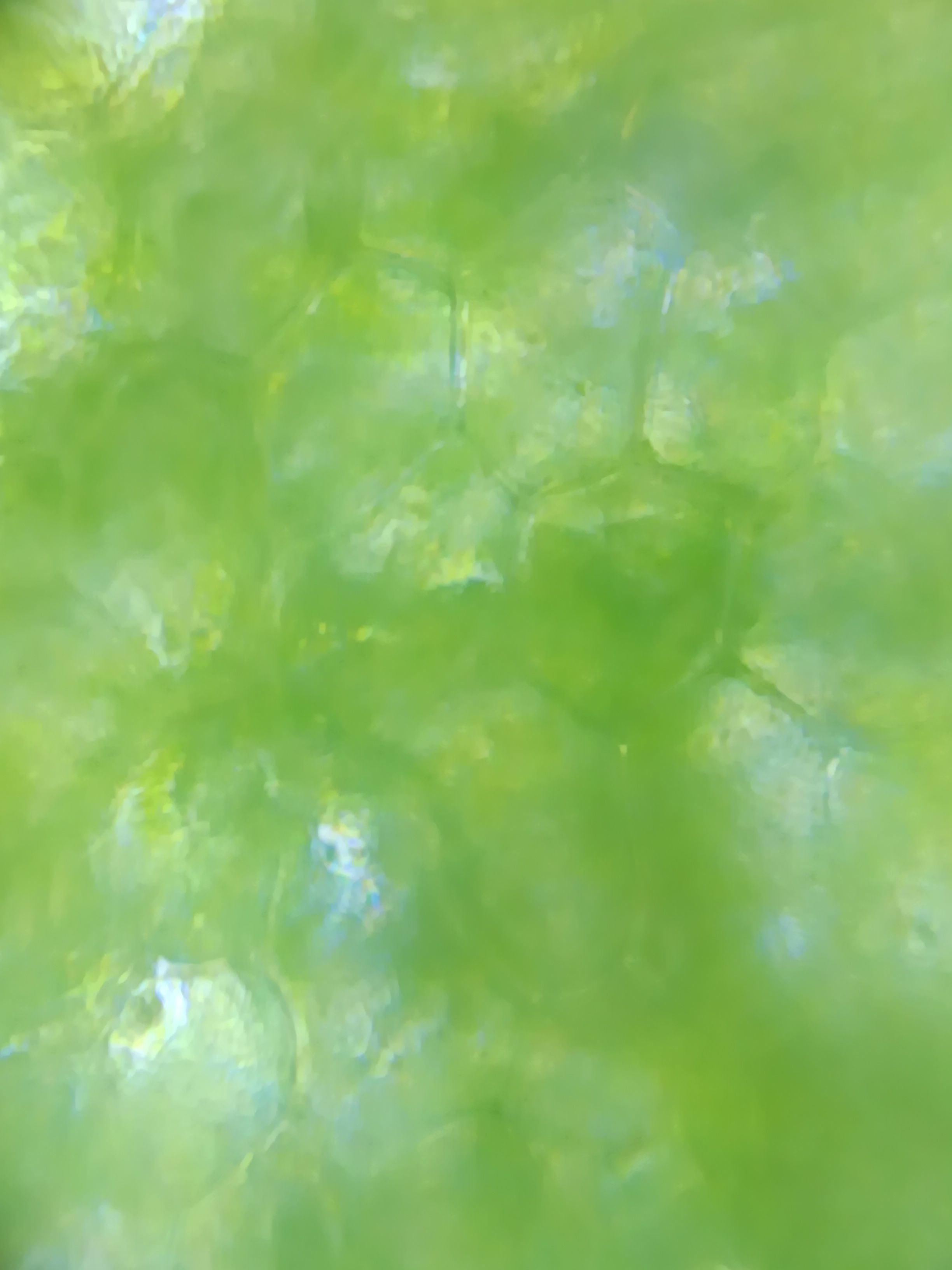 images%2FemXefofqzLRKD9UsWdIrHtPHBNP2%2FCcQK6Nx6rJxLhCqW6sWI%2F1305ae6f-0574-4409-9b6a-a5fda90098cf.jpeg?alt=media&token=20ddceee-604b-41b6-a03a-480c55e17507