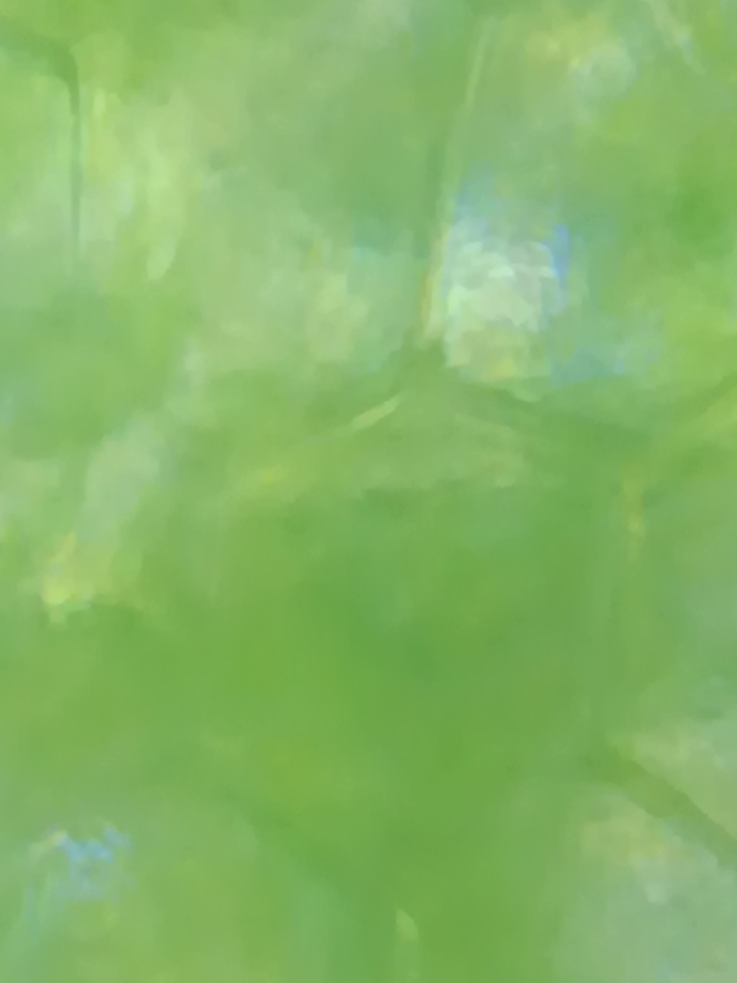 images%2FemXefofqzLRKD9UsWdIrHtPHBNP2%2FCcQK6Nx6rJxLhCqW6sWI%2Fdf232690-5a2b-40d9-931f-f105b207d094.jpeg?alt=media&token=00740f01-3f58-48ff-a16d-f456142cb133