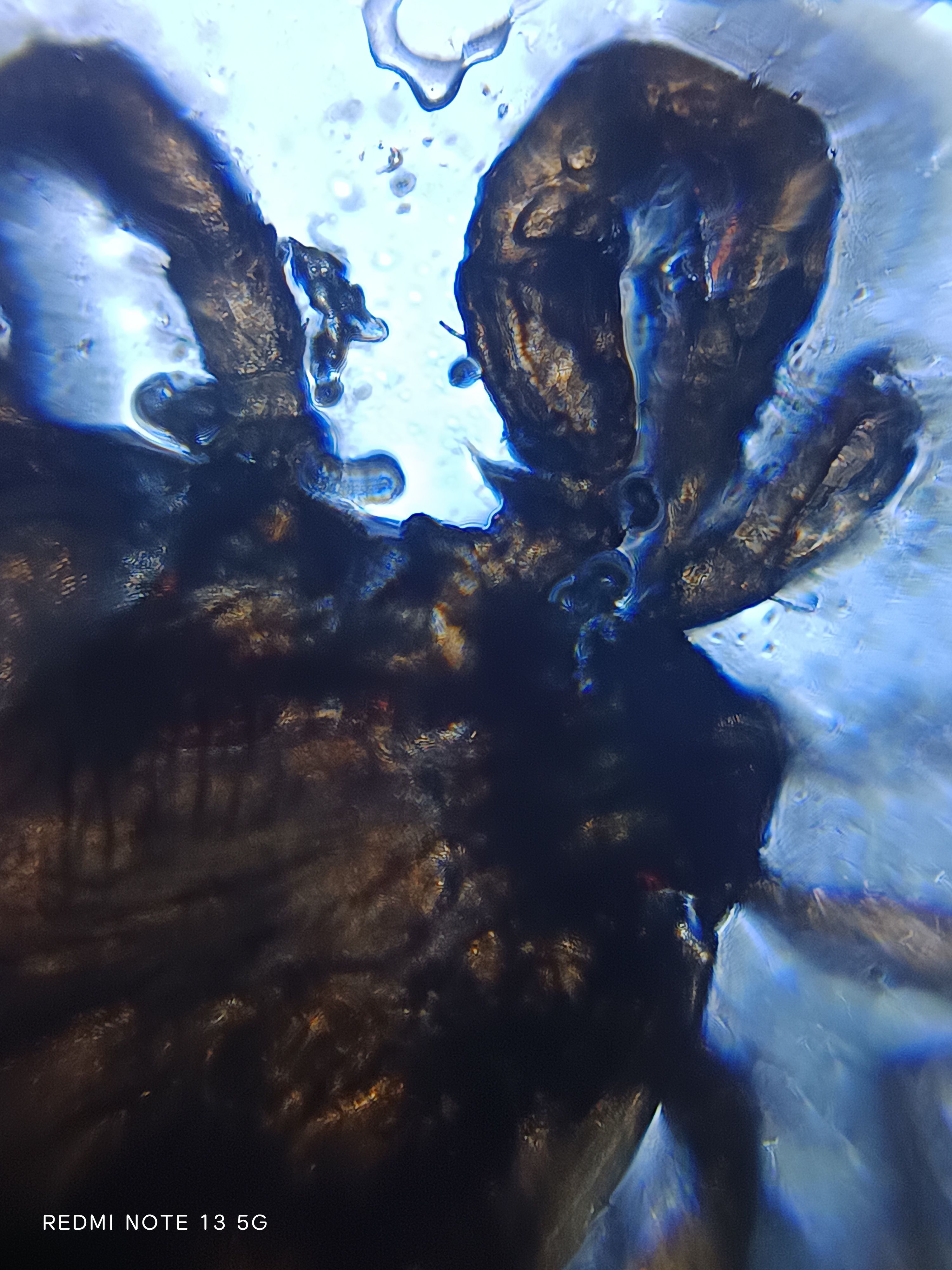 images%2FemXefofqzLRKD9UsWdIrHtPHBNP2%2FUFkt5lToEILXWbAF3Omy%2F9cc62ba6-146f-4d9b-b02e-230733986a5b.jpeg?alt=media&token=491c14a7-7253-4a08-ade9-113ce4b47d5f