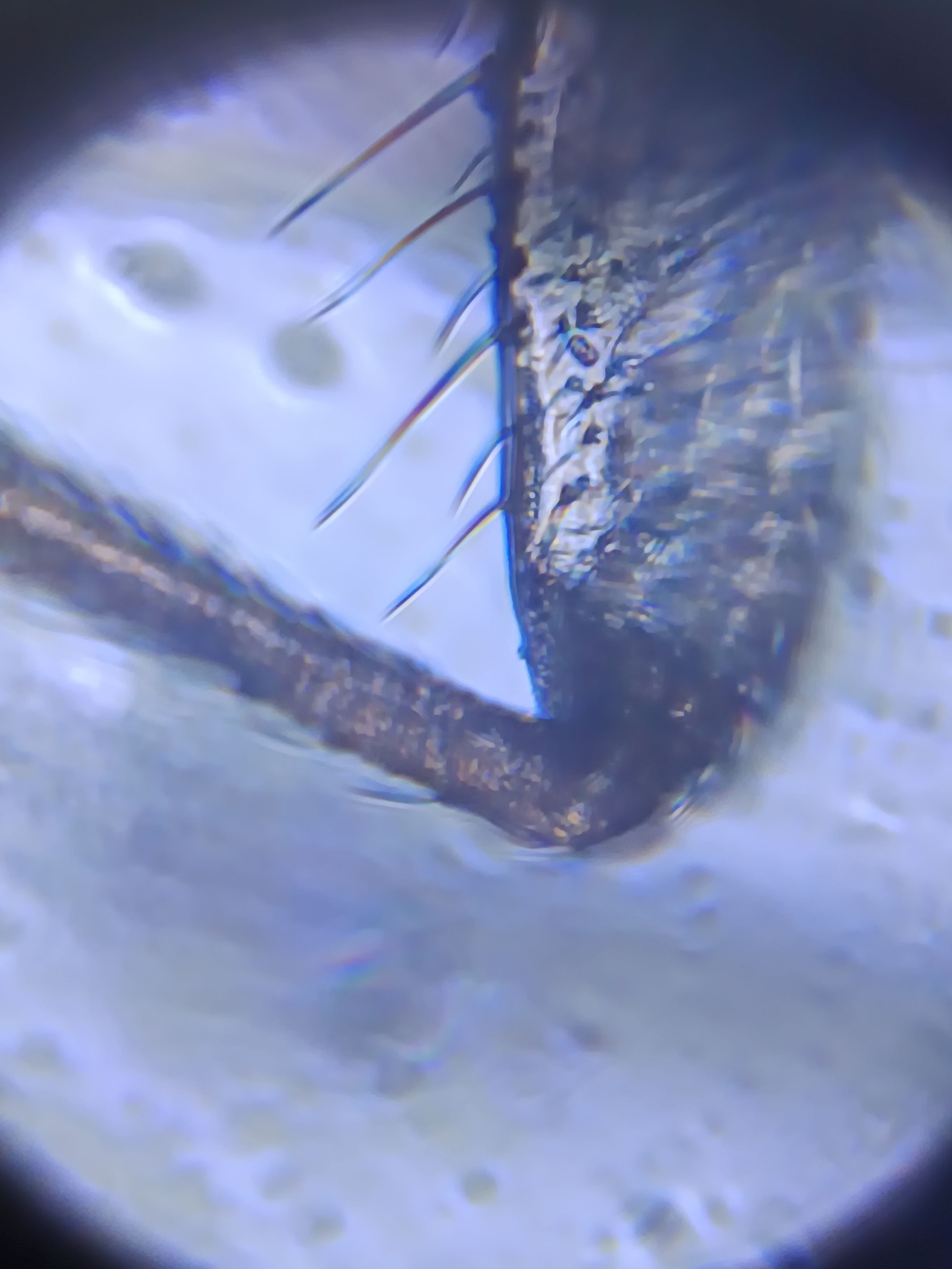 images%2FemXefofqzLRKD9UsWdIrHtPHBNP2%2FbtQgzcCHvjxXAHCRDu4c%2F77c08260-b728-4702-b0a3-e95aadd69b7a.jpeg?alt=media&token=7c774d07-9d1e-4186-860e-5f077db1460f