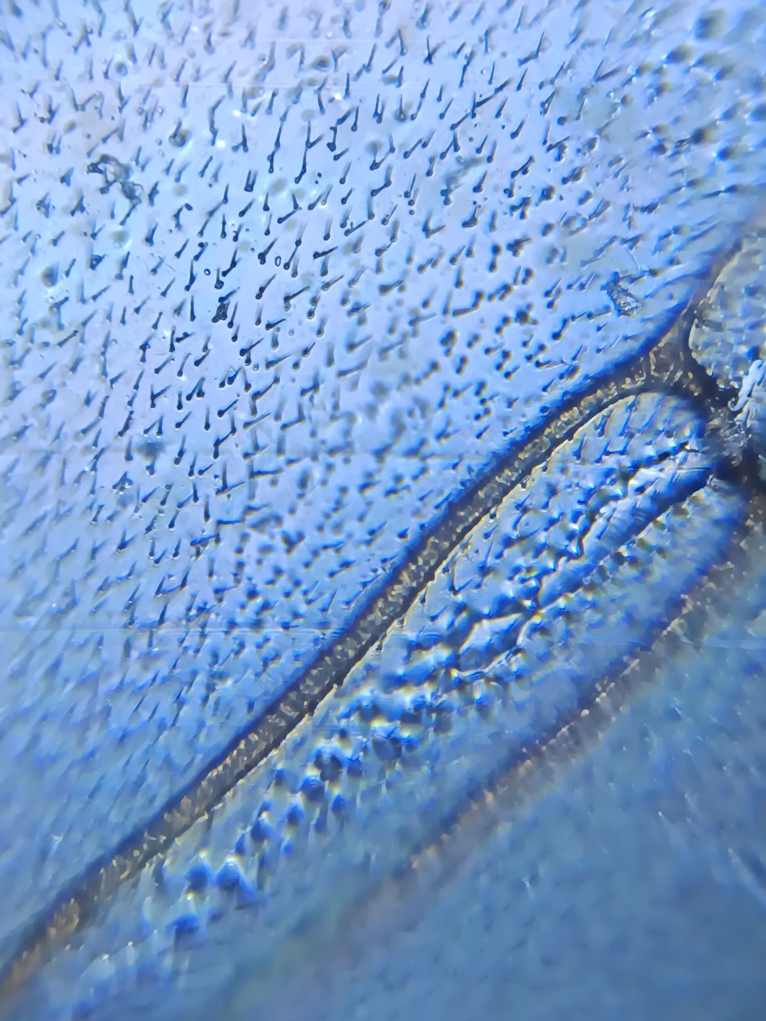 images%2FemXefofqzLRKD9UsWdIrHtPHBNP2%2FcF2A7nBHGzrK85VHdvLI%2F7439ecf1-ea8a-4cba-958c-896c7d7e8eba.jpeg?alt=media&token=6ea9fadd-8717-46cf-b27c-42b45126700a