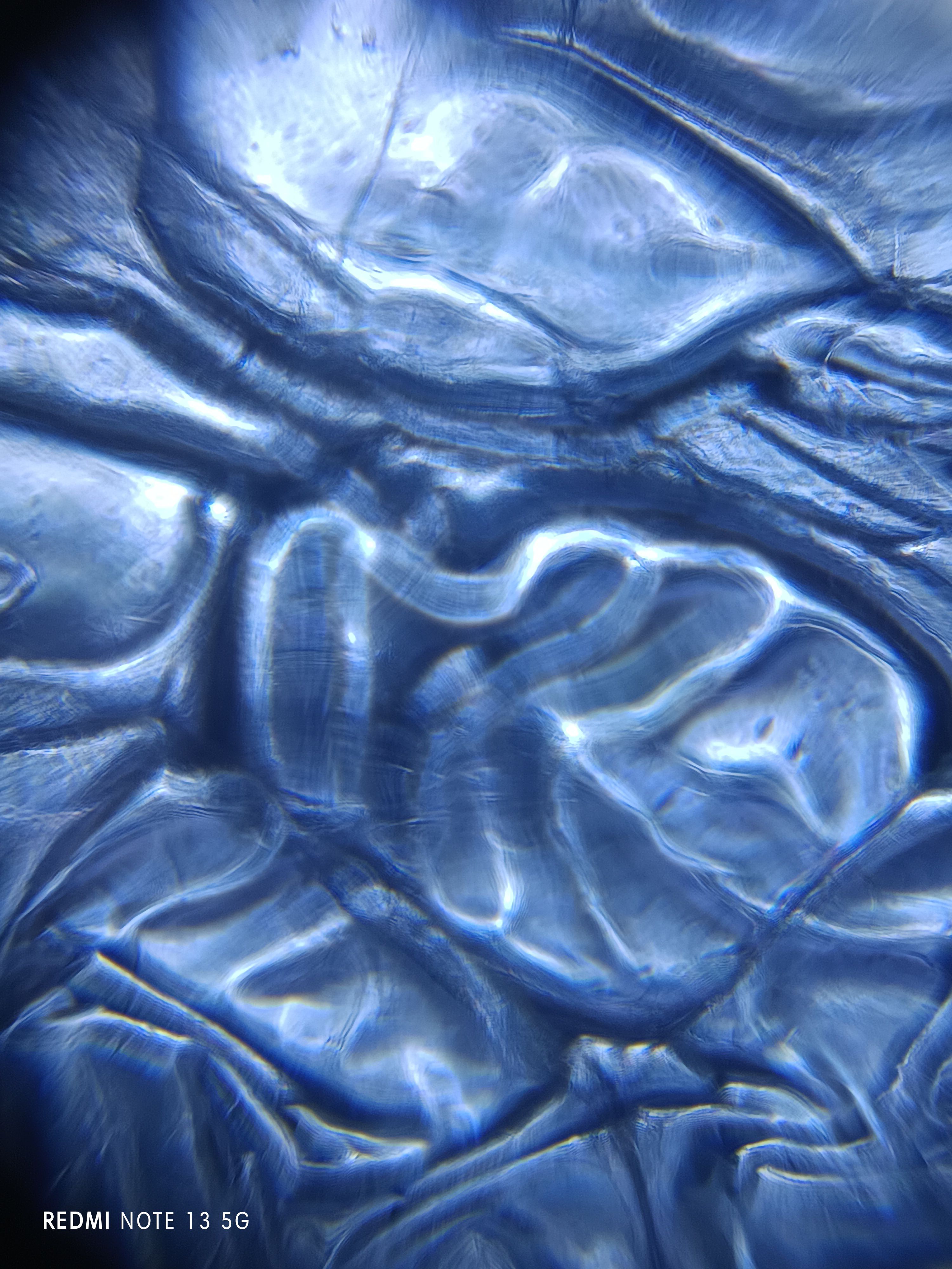 images%2FemXefofqzLRKD9UsWdIrHtPHBNP2%2FkDDF5TTRyP5A9GrhSLL0%2F89d3dbd2-2676-4db0-8170-f1eddbf365b3.jpeg?alt=media&token=18d3ce45-a67e-4b26-829b-77a31380517a