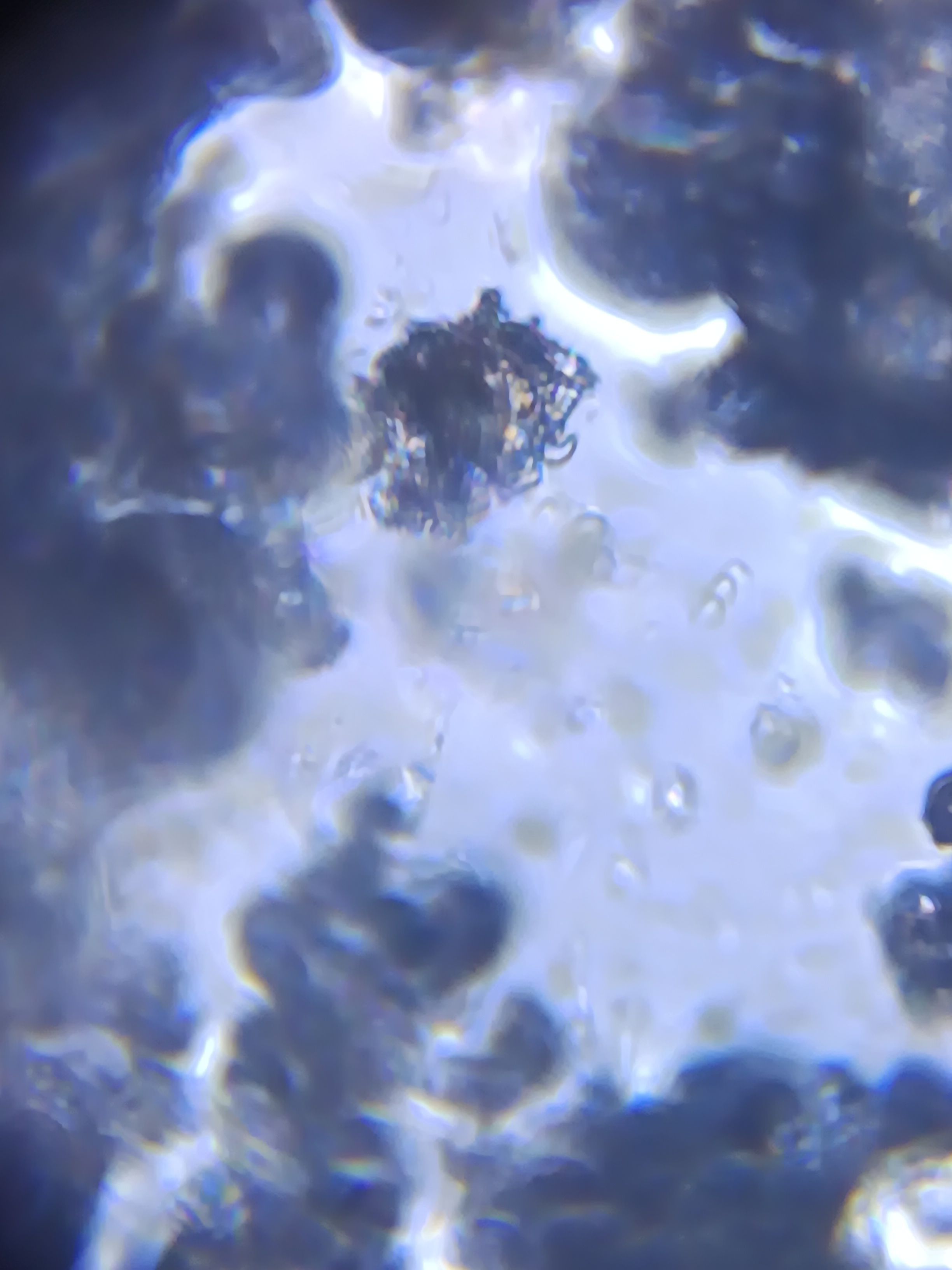 images%2FemXefofqzLRKD9UsWdIrHtPHBNP2%2FpYz37wYzDcBqOUwFf2bn%2Fc1ac8c15-8921-4c0e-906d-9383659dbe59.jpeg?alt=media&token=26ed15b6-6644-432c-929f-bbf15800e684