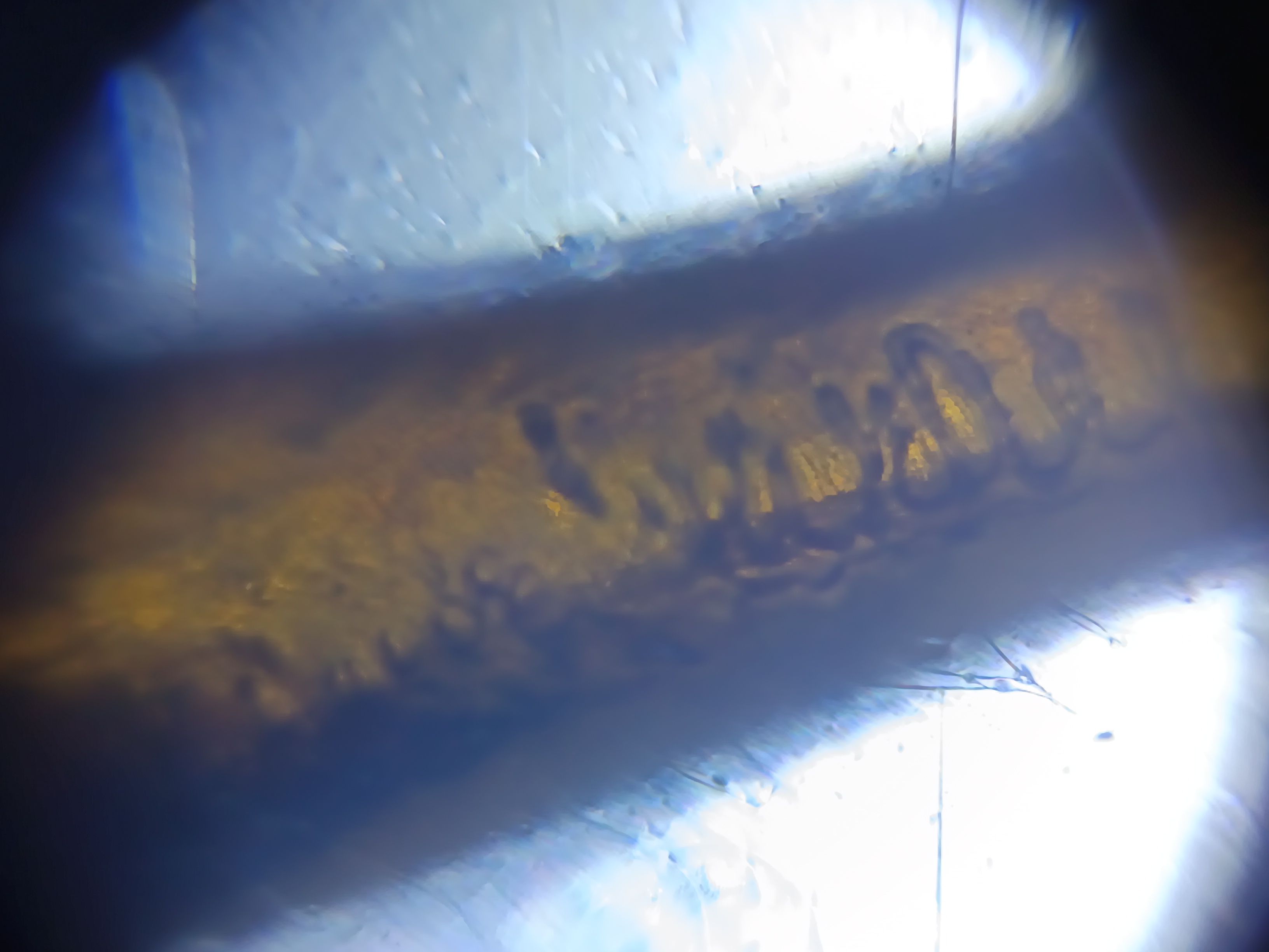 images%2FemXefofqzLRKD9UsWdIrHtPHBNP2%2FvVA6vtbMXYLemRNK0Sh6%2F2768e080-dfb7-4109-b1c0-865be02f90e7.jpeg?alt=media&token=4f188b73-f980-4573-88bf-25279f811ca6