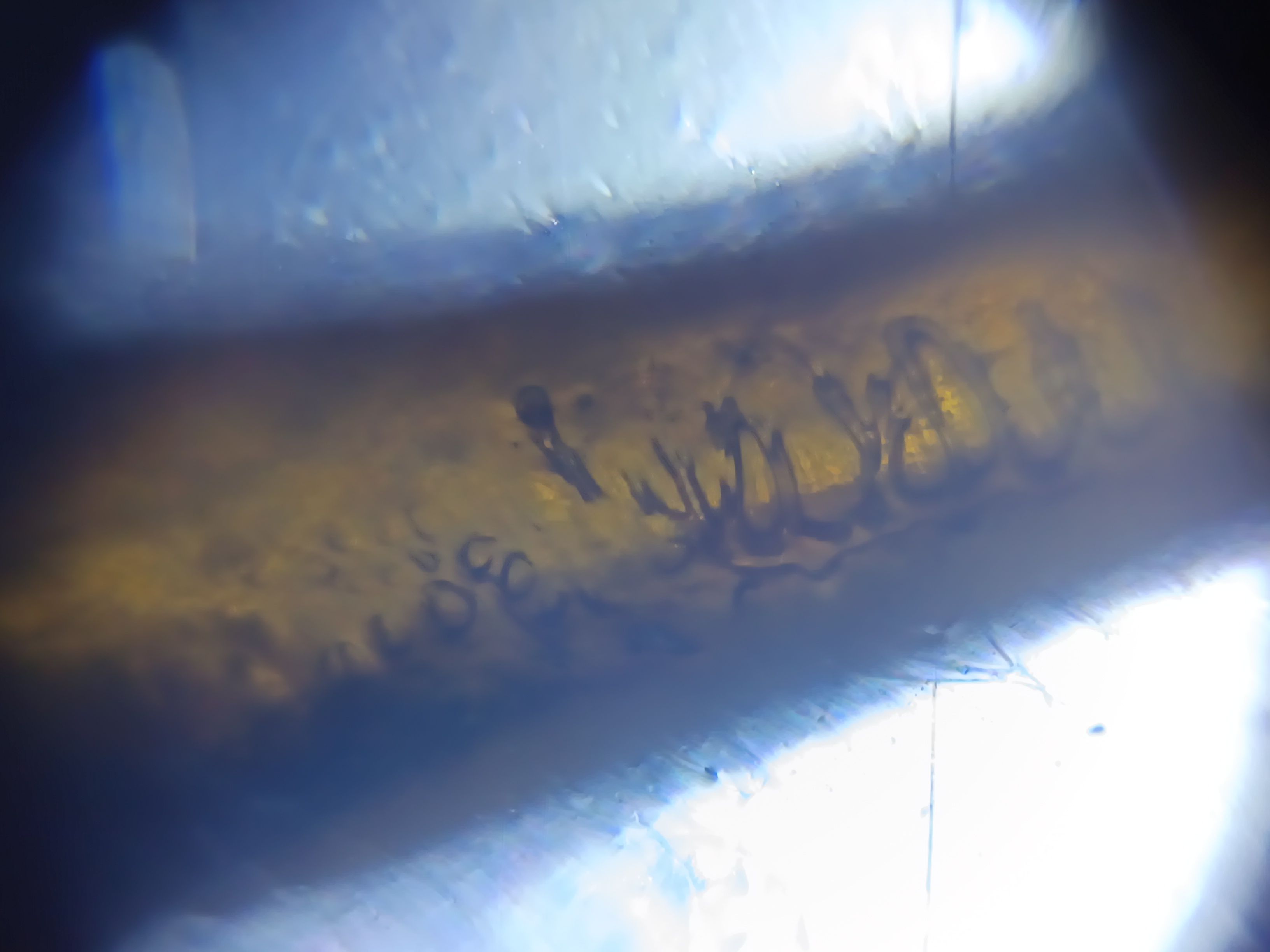 images%2FemXefofqzLRKD9UsWdIrHtPHBNP2%2FvVA6vtbMXYLemRNK0Sh6%2F88eb25e8-0ab3-4050-b58b-f91f8e681b08.jpeg?alt=media&token=05007583-b2d8-4911-9758-5b45181c6f89