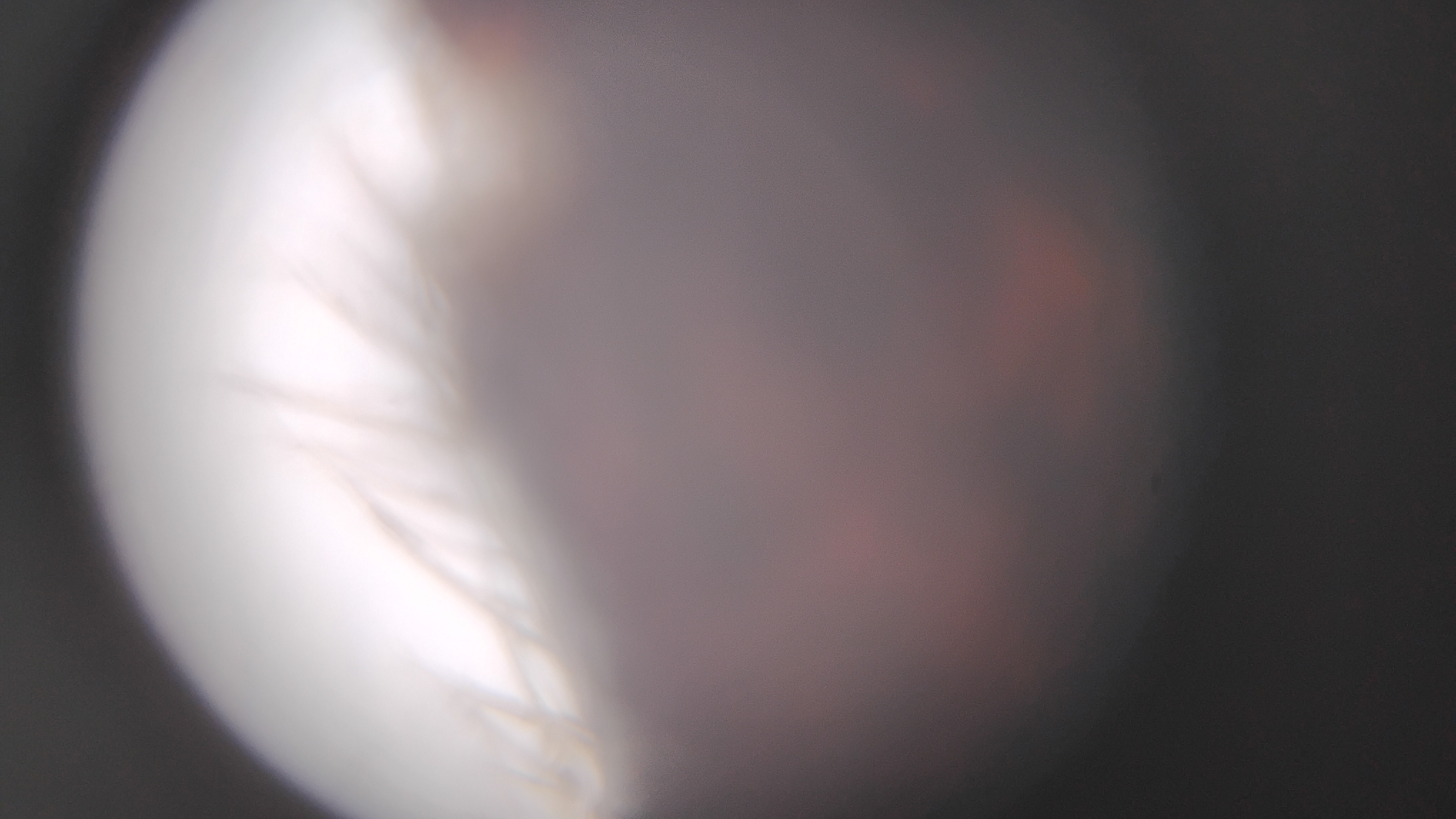 images%2FjFQq7zJbCmcqXxzgtGPUHEqaLVB2%2FLl3z1mJIW9g0TUWoGfA3%2F0a9a6646-ca07-454d-a131-46974e6a9f5d.jpg?alt=media&token=f42c2ff3-8ca7-48dc-ba3d-cd7ab6236dd1