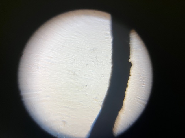 images%2FjFQq7zJbCmcqXxzgtGPUHEqaLVB2%2FLl3z1mJIW9g0TUWoGfA3%2F7f23ecd3-b1aa-46d1-a506-10e579558c5e.jpg?alt=media&token=fafdb74e-6728-4b87-b49d-a16500354ad6