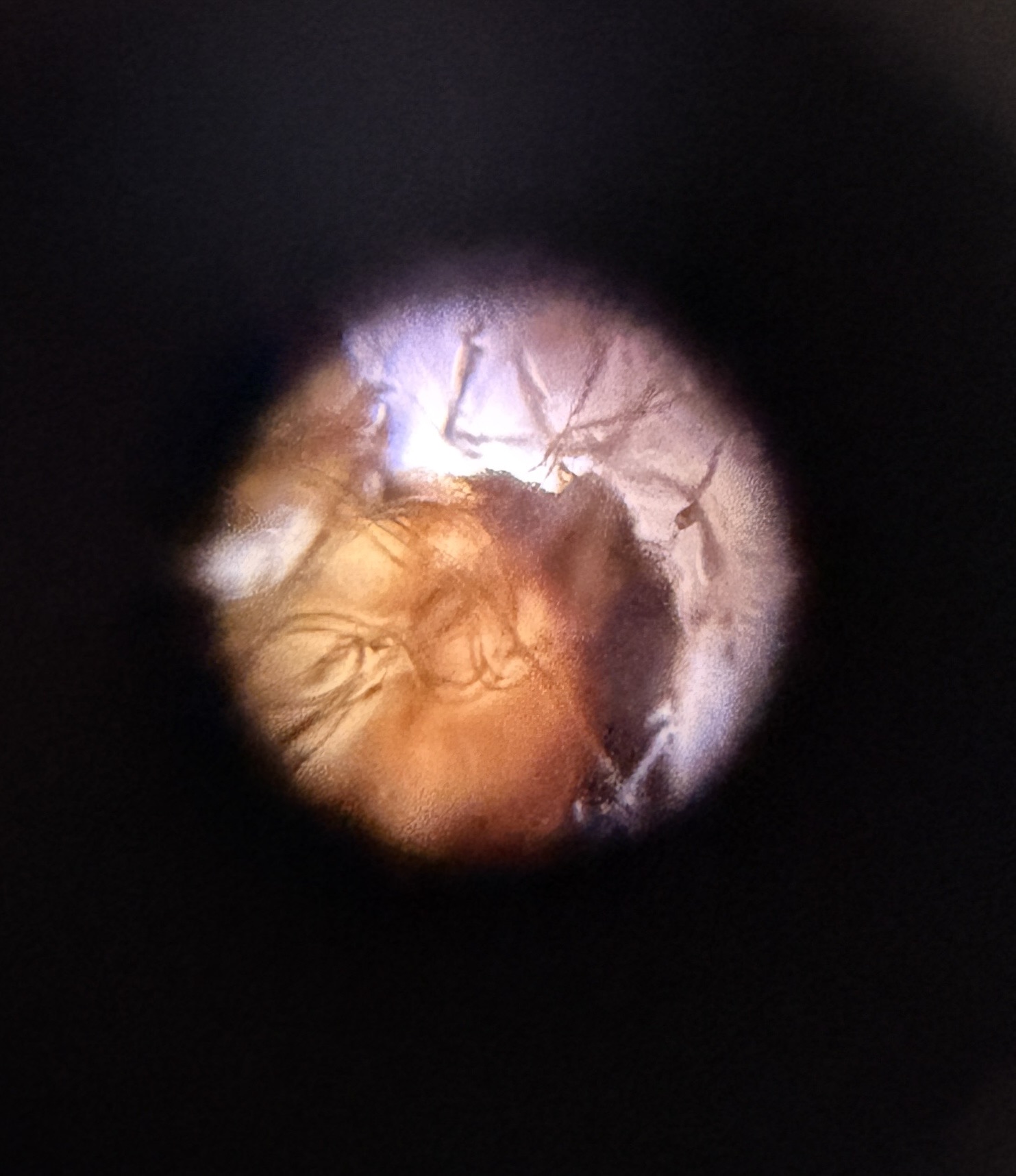 images%2FkrAPF2LDfUYpNKOu9lblyKtTgNq2%2FSc90hXleS9OMCcMuTI3O%2Fce21268f-f583-4812-81e6-615442e4b4c6.jpg?alt=media&token=022d3c25-78bb-478e-9794-95f8c778982f