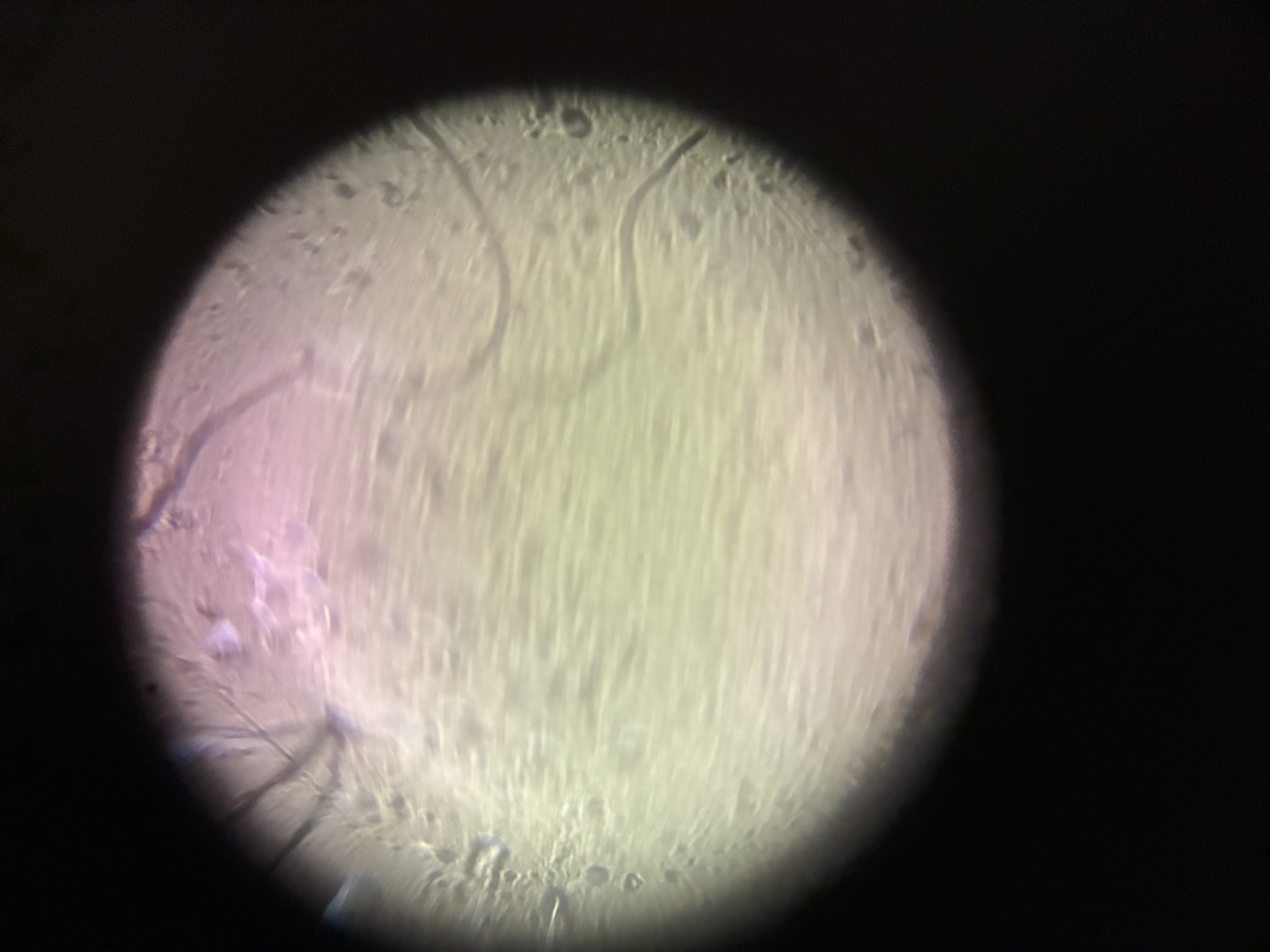 images%2FlA9lwvB8ctbMYpGH7OwUmtaEw0u2%2F8MYd6ba7VX9SHBmpBSjh%2Fc12d3a40-ce47-4f16-8180-03c18a56e8e8.jpg?alt=media&token=b6050ecf-8725-46cd-961f-f0608c477a5c