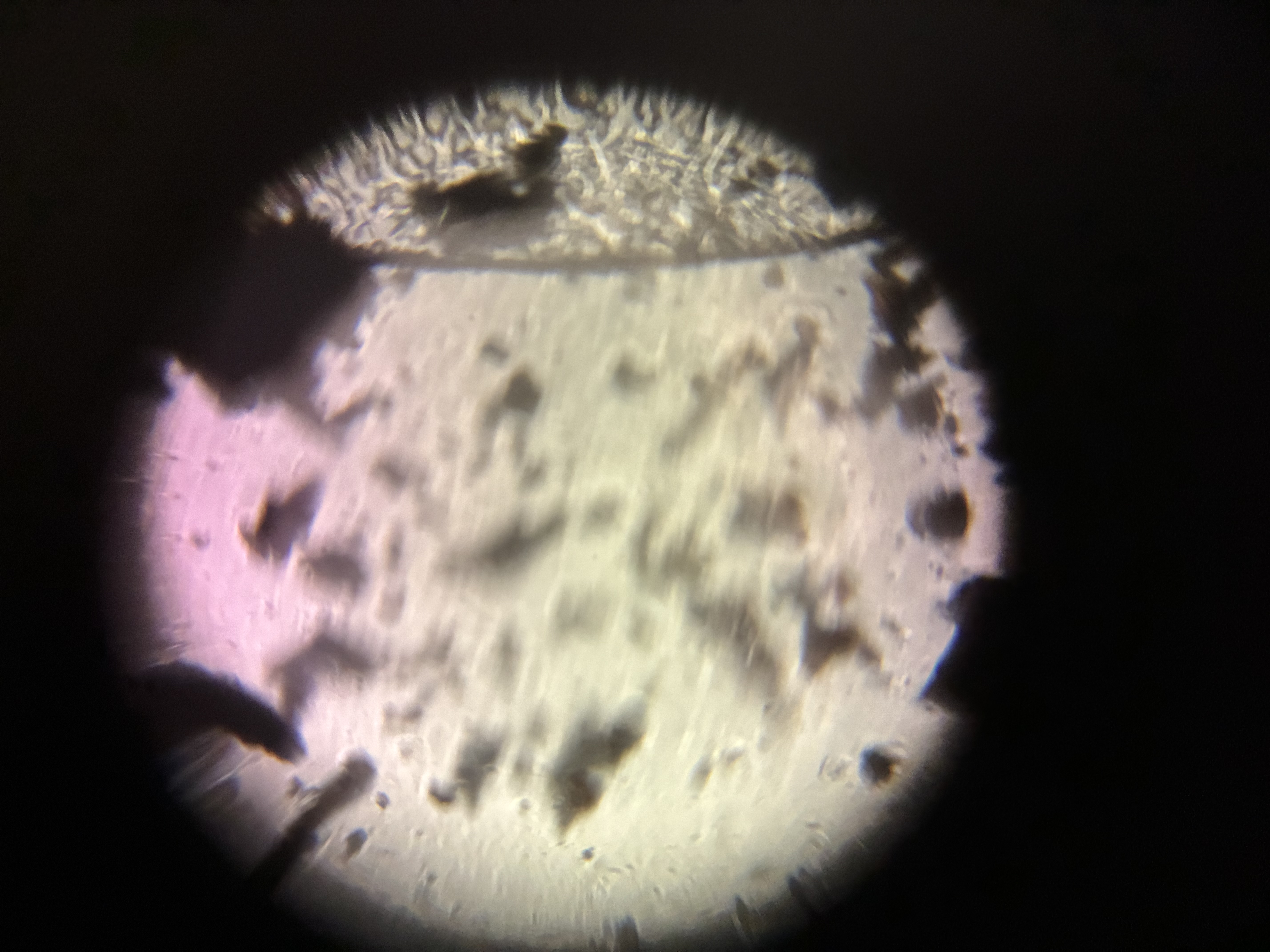 images%2FlA9lwvB8ctbMYpGH7OwUmtaEw0u2%2FBlUZEXayCnjb0BYCgLxB%2Fa010ebe5-de2c-4934-a806-1cc70c845796.jpg?alt=media&token=7612bbad-a1f1-4762-a33a-da5b306d8d24