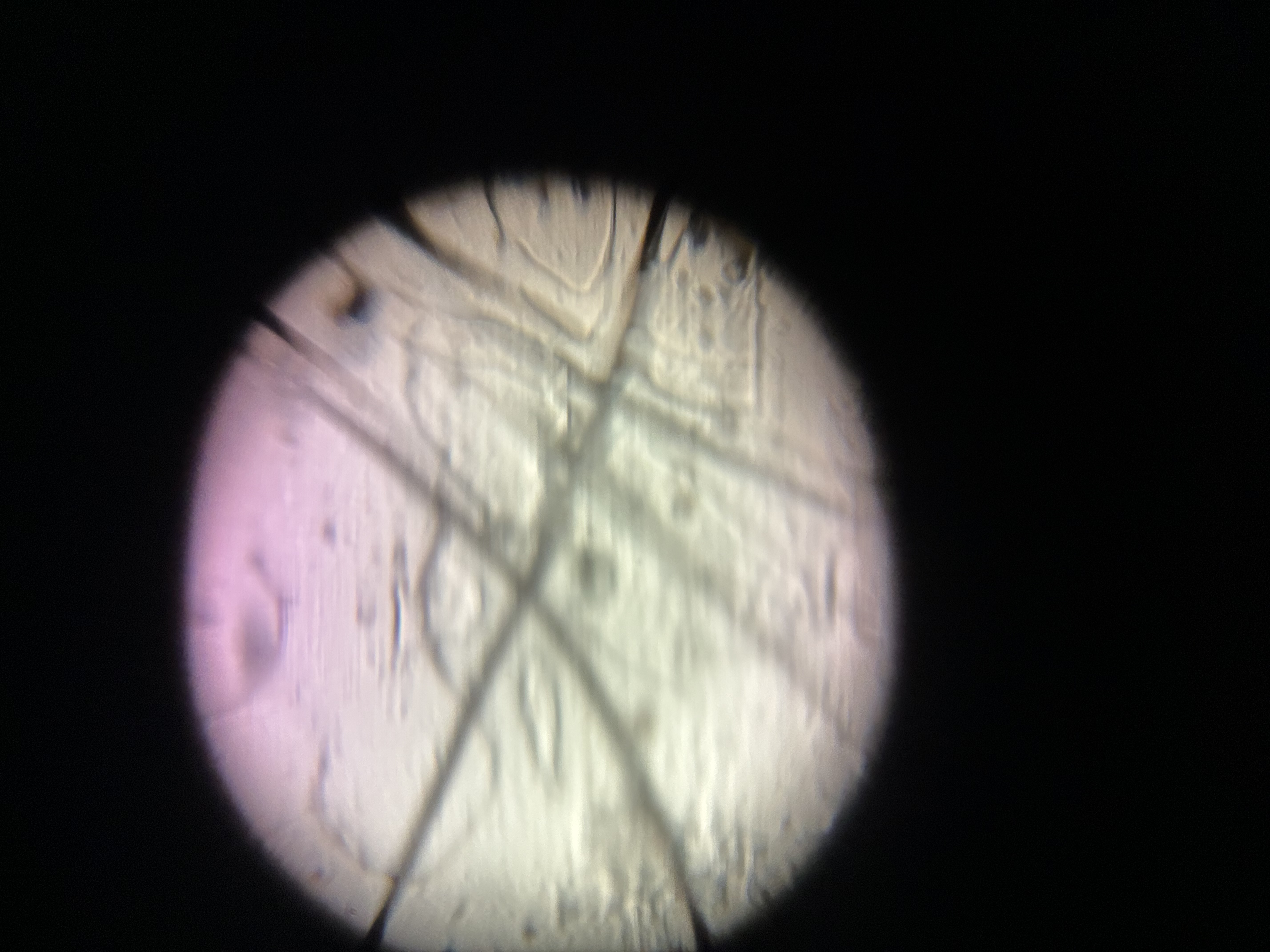 images%2FlA9lwvB8ctbMYpGH7OwUmtaEw0u2%2FCre6ux0aHhdlL7vHVhi1%2F87e4afc5-0314-45ff-9aaa-5b156ca63691.jpg?alt=media&token=454a3629-e694-4726-88d3-27ae83b738c5