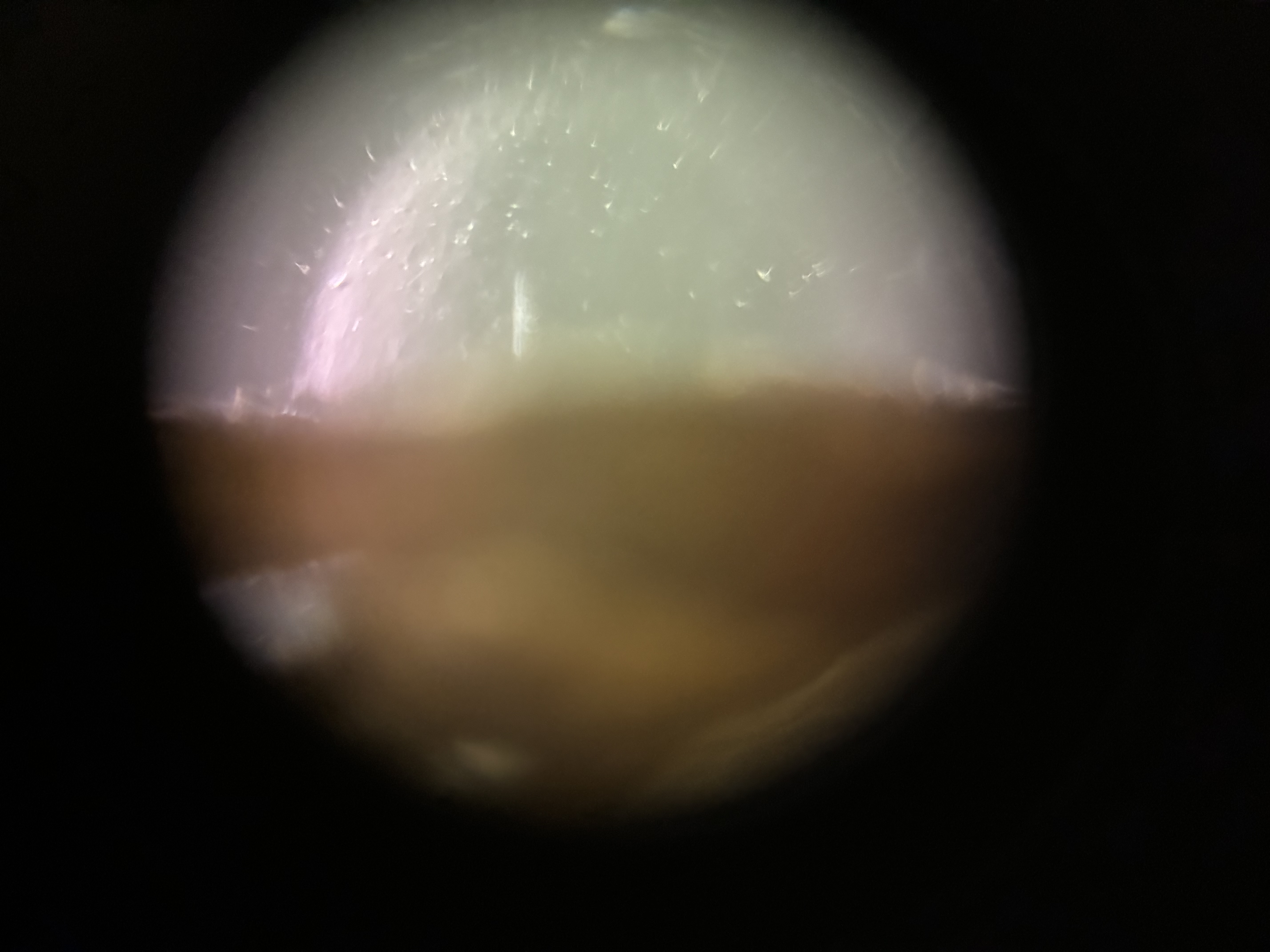 images%2FlA9lwvB8ctbMYpGH7OwUmtaEw0u2%2FTtXjZL4f4M6alEaHay5h%2F3eaab46c-11b8-409a-a5bc-f2c782a8b60d.jpg?alt=media&token=e76a407a-ee52-4708-a85b-f82fa5be1029