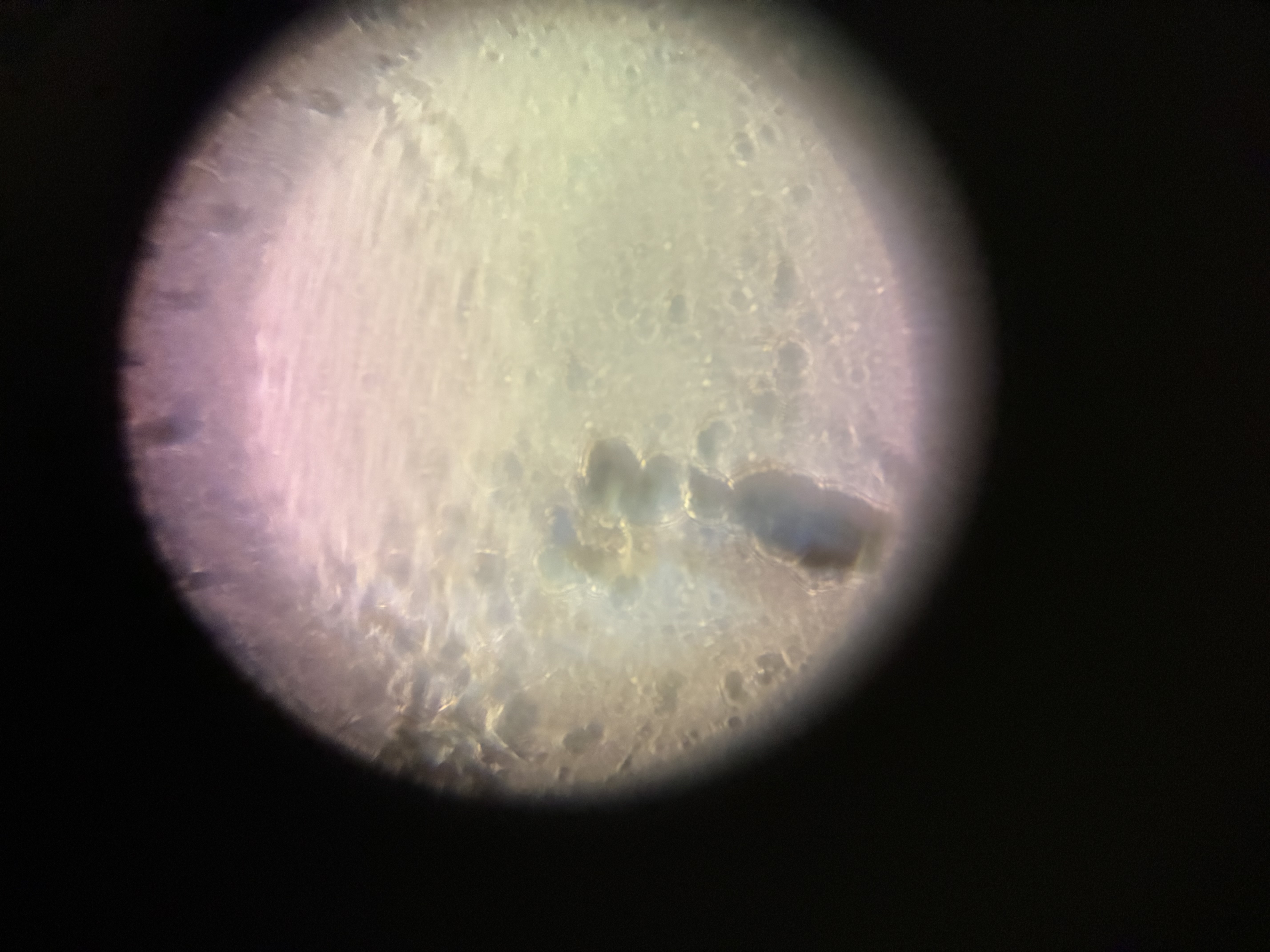 images%2FlA9lwvB8ctbMYpGH7OwUmtaEw0u2%2FVev0zSnHR454ya1OafcD%2F70457faf-930b-40d5-83cd-2a978ce59de9.jpg?alt=media&token=4b4e3d6f-d67f-47cb-abba-38a9512a96f4