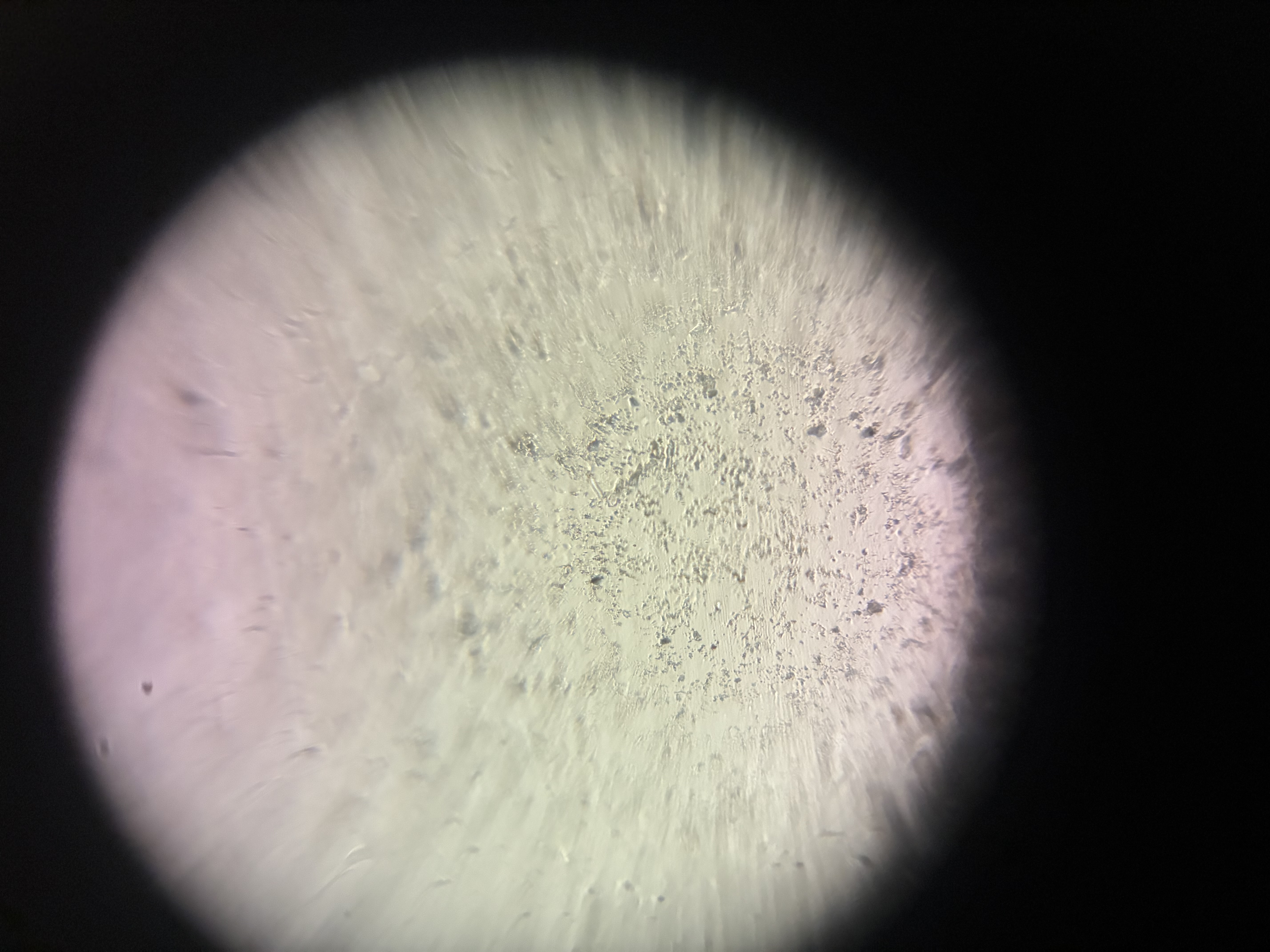 images%2FlA9lwvB8ctbMYpGH7OwUmtaEw0u2%2FthUGAJD1sFpLhB5dp9Cp%2Ffd623172-52de-44d8-975f-d8c30da72b80.jpg?alt=media&token=bf04d9d4-3881-45f3-a05d-f9517724dd9c