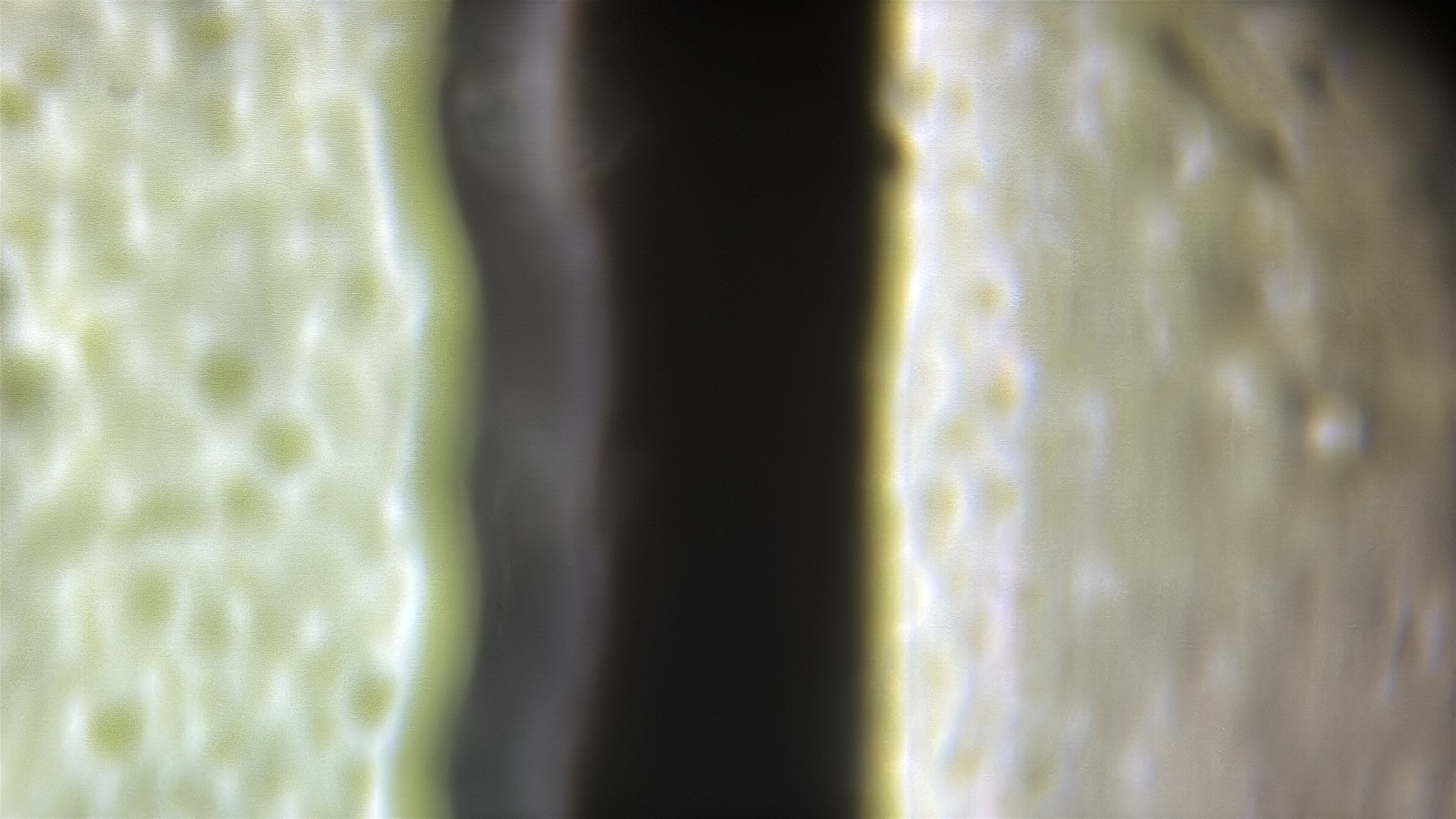 images%2FnJVYmPVBbIQK4dwR5GI95uxleVA2%2FGlsmx5Q1XrGv1zE0NOZj%2Fc033c267-c5e3-45e2-a2cf-30d0d90b5ca6.jpg?alt=media&token=3d5e96dd-4d67-46ab-a5c2-a583a71cf348