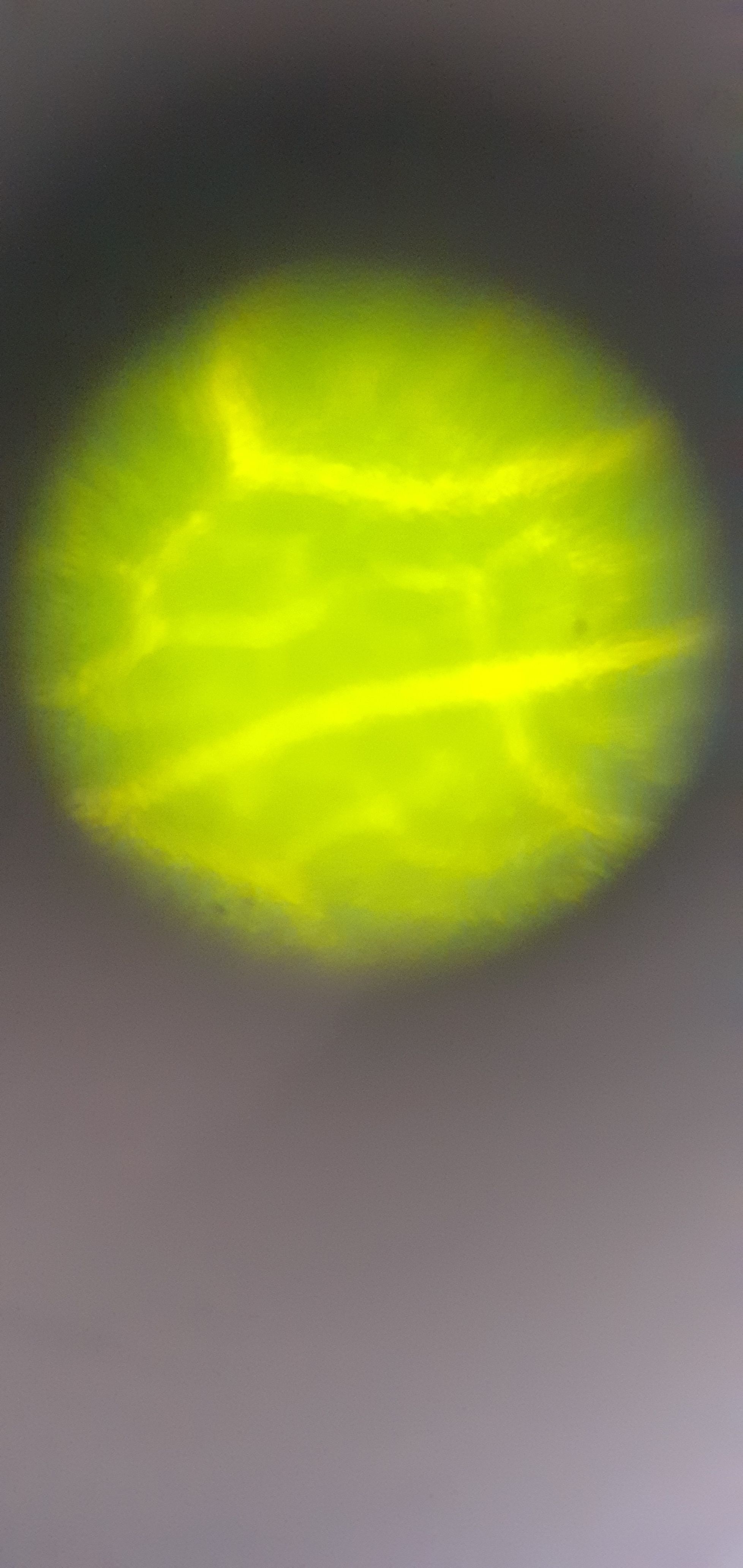images%2Ftv2zgQ6ww5UyZZDuiF7GLyQmFtA3%2FsBuoeueqUheRxQQ8ACDd%2Fb28ac4d3-829d-44cd-a5cc-2ba1a12ba886.jpeg?alt=media&token=3bb811bd-4d7f-4c9a-9db4-cbe7d5550c09