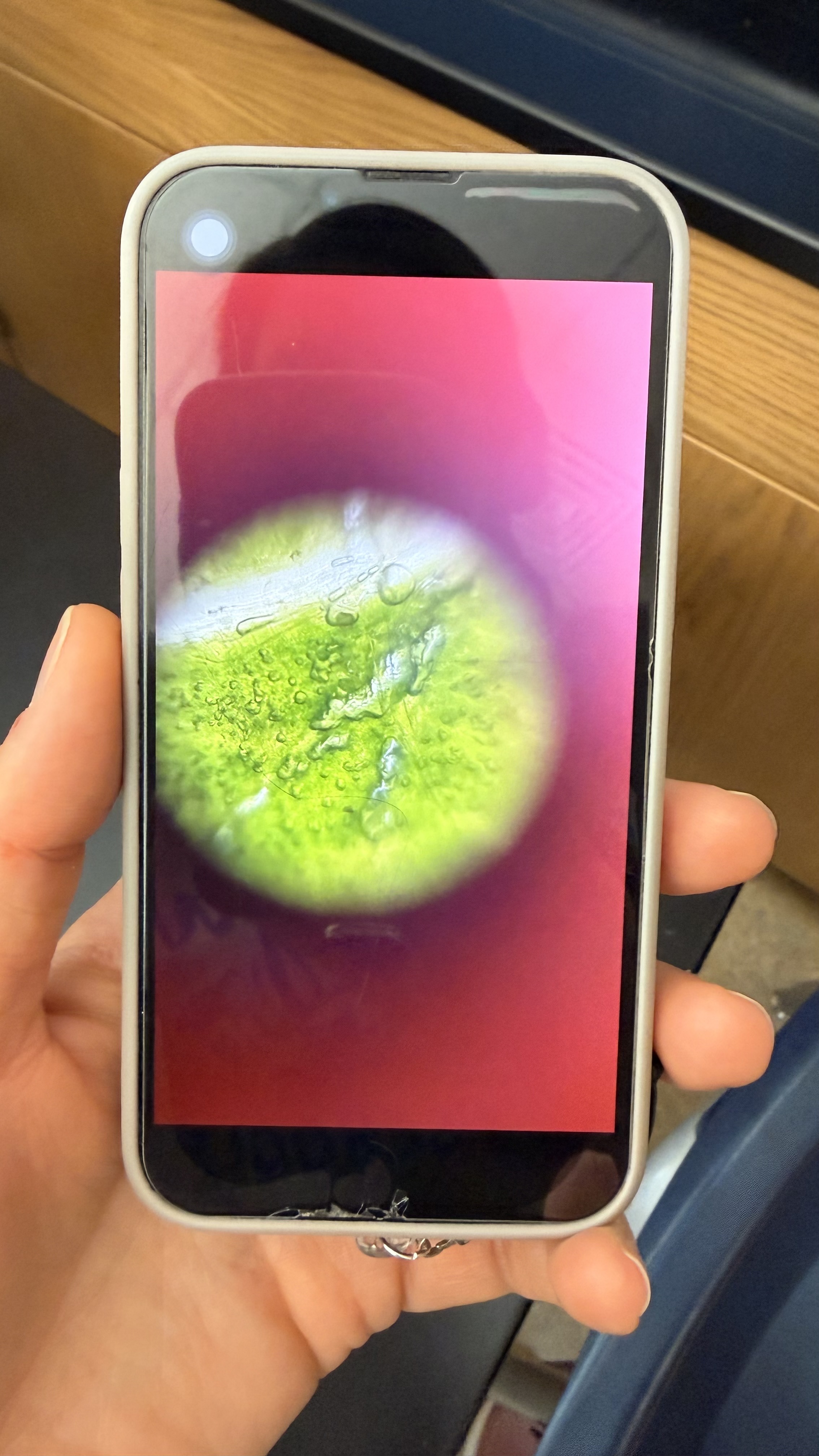 images%2FyBuParysmjeCJwVARu1om6d6HKq1%2FlZuAtsnk41DFFZAUMLcA%2F5b249164-23ea-48a0-8ceb-3ec5d8006bff.jpg?alt=media&token=b48c6a15-a386-41ab-b644-19b940b38485
