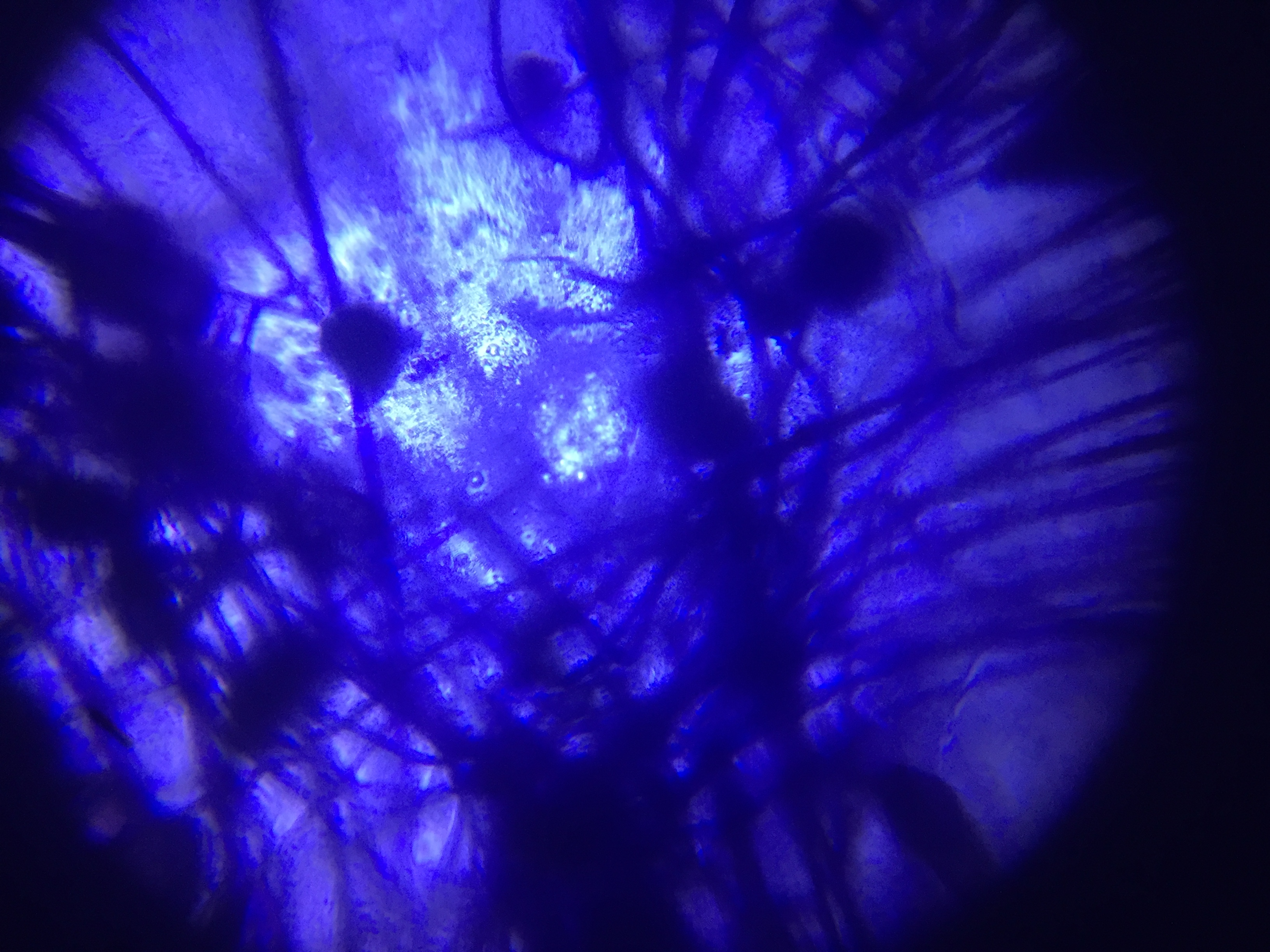 post_media%2F017CC22L3ZbN0pE6BTyzQiON2AG2%2FaSz1CNPWjGiEUSheMgMO%2Faip94gmt3t_IMG_2126.JPG?alt=media&token=8bb115c7-097b-4ae9-a239-bdfb50ab13d3