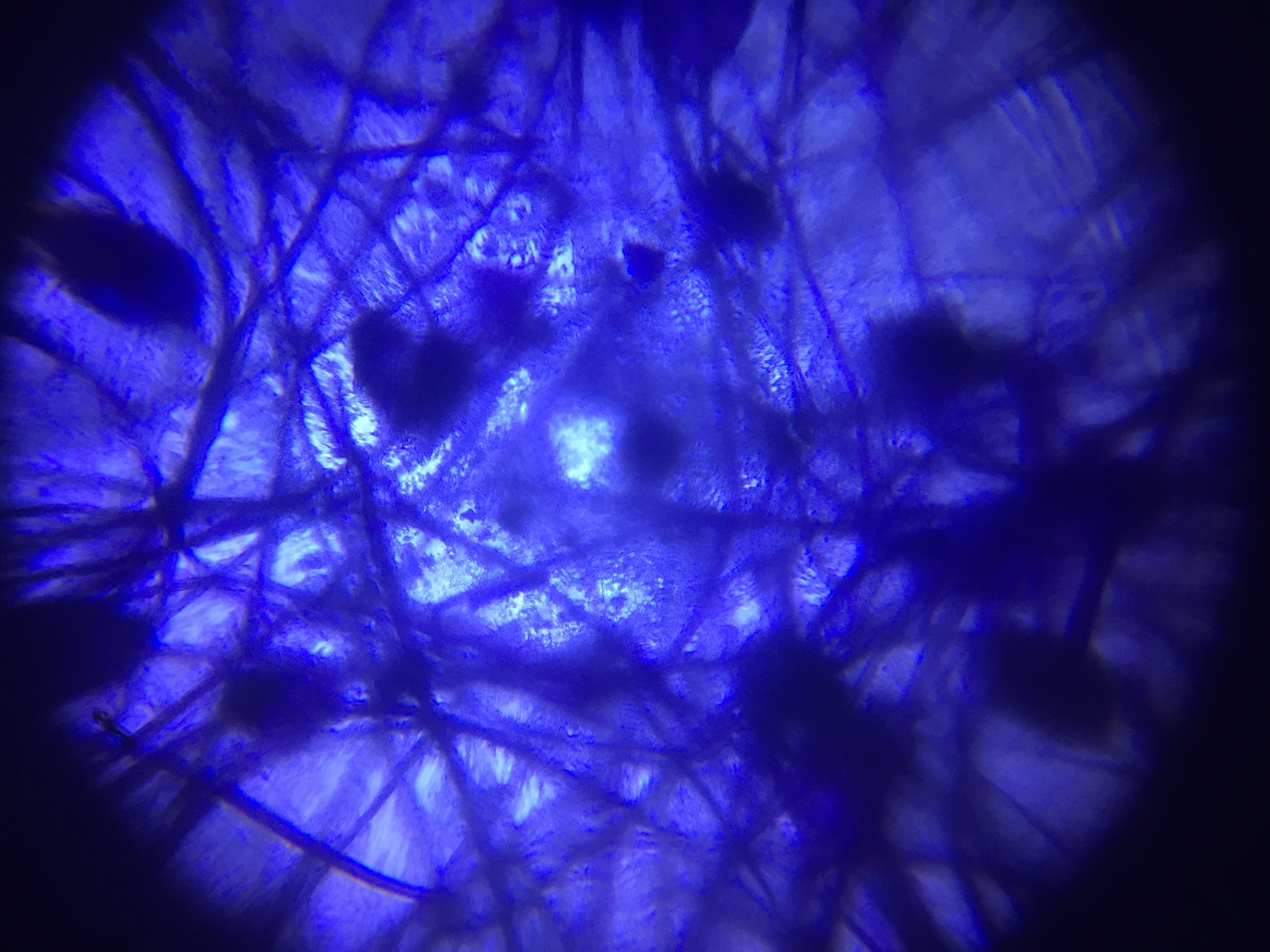 post_media%2F017CC22L3ZbN0pE6BTyzQiON2AG2%2FaSz1CNPWjGiEUSheMgMO%2Fb1l7trcgl7_IMG_2125.JPG?alt=media&token=36e8f8f8-f052-4062-95e1-e25a13eb54ae