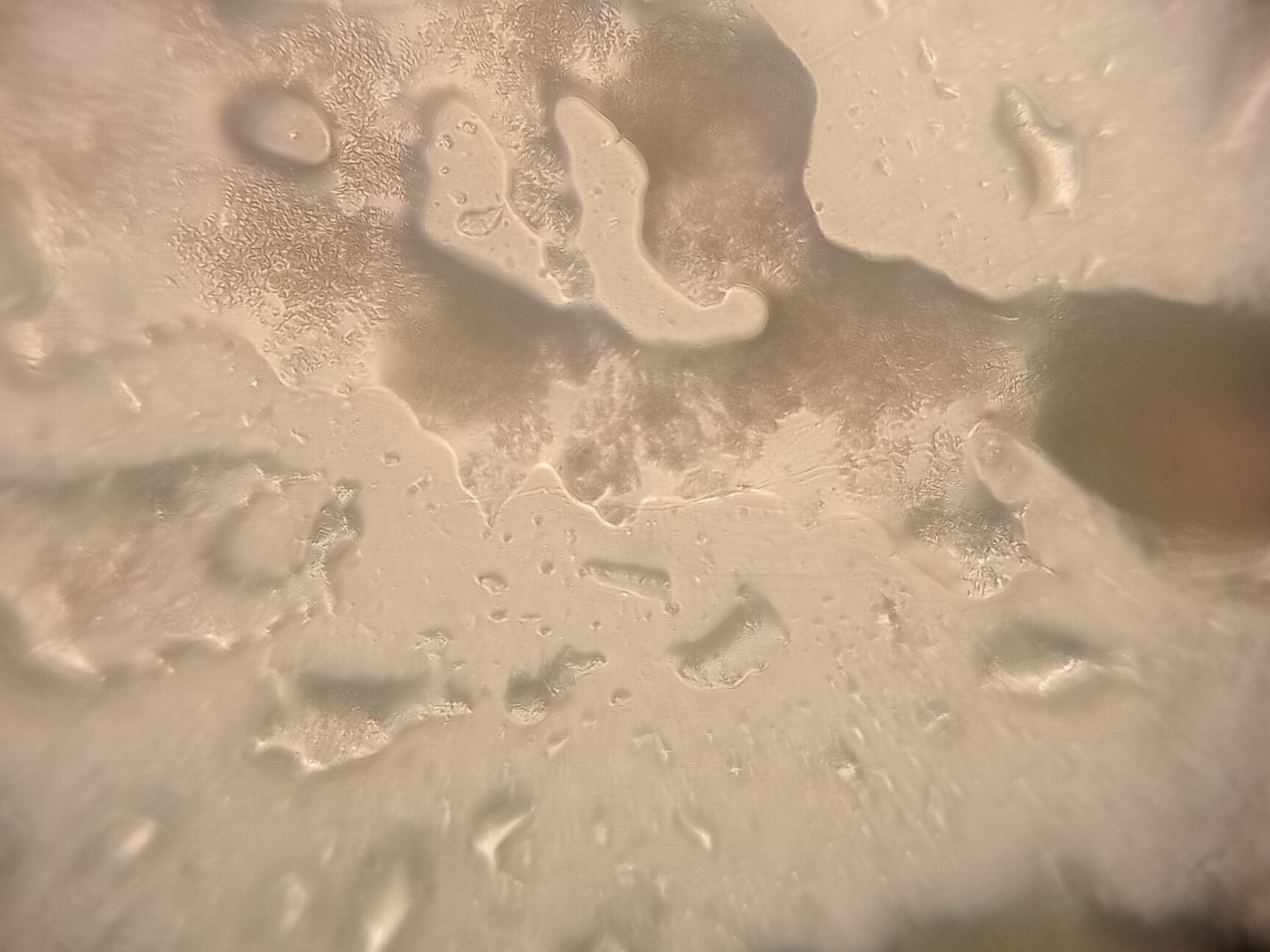 post_media%2F1BWcSuXls8dal4wudY1KB7p5KIM2%2Fnopid%2Figiv8fbkef_20260403_120450.jpg?alt=media&token=b4efbc67-3c45-46b6-b12d-25ffa1ba5c09