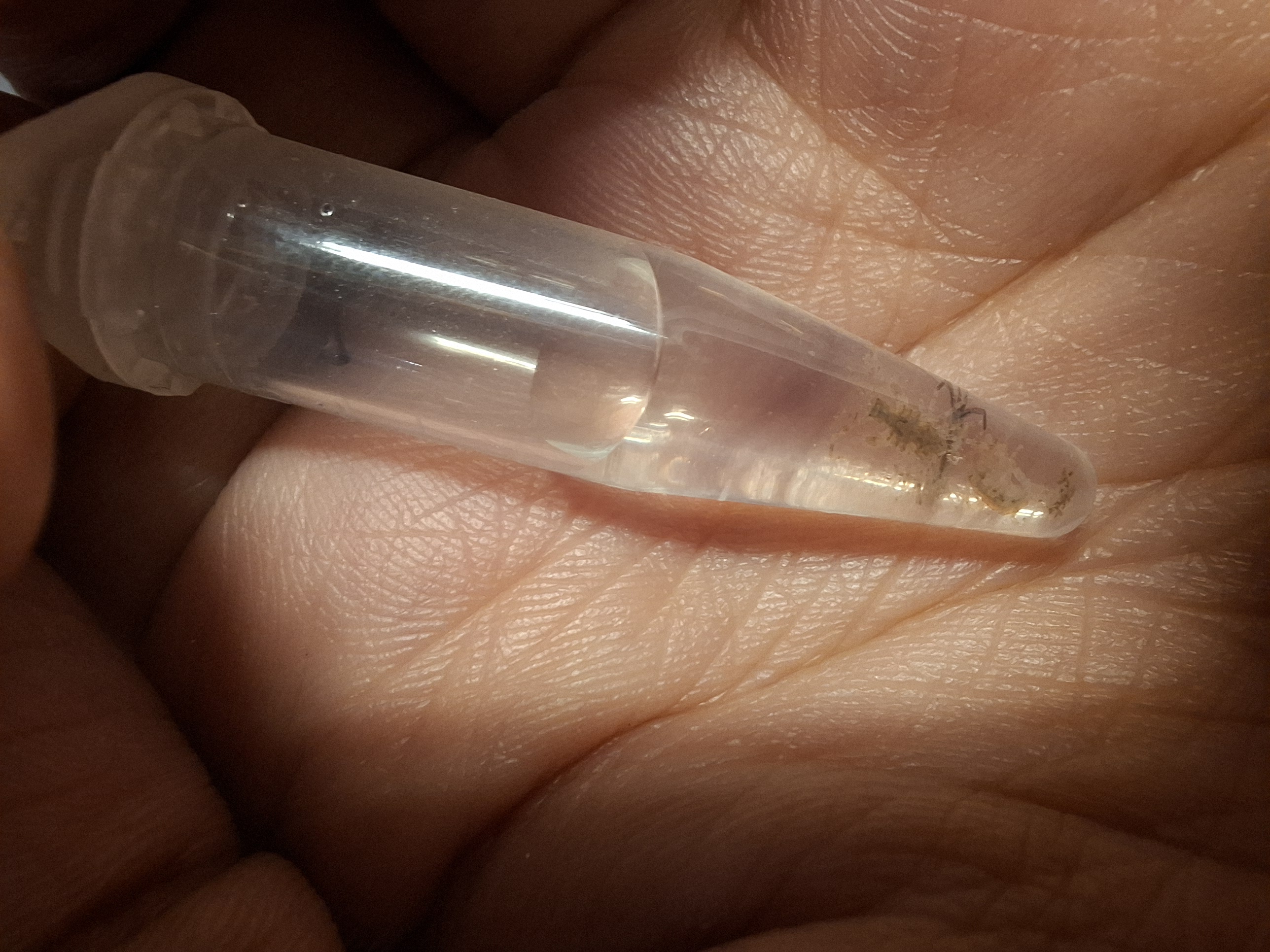 post_media%2F2317%2FoxNkUUoG0J2CIKiCZNzB%2Fx7o6ulcgc4_1000252611.jpg?alt=media&token=cb2ffe2f-0f10-4cac-86e6-01a48373e4f3