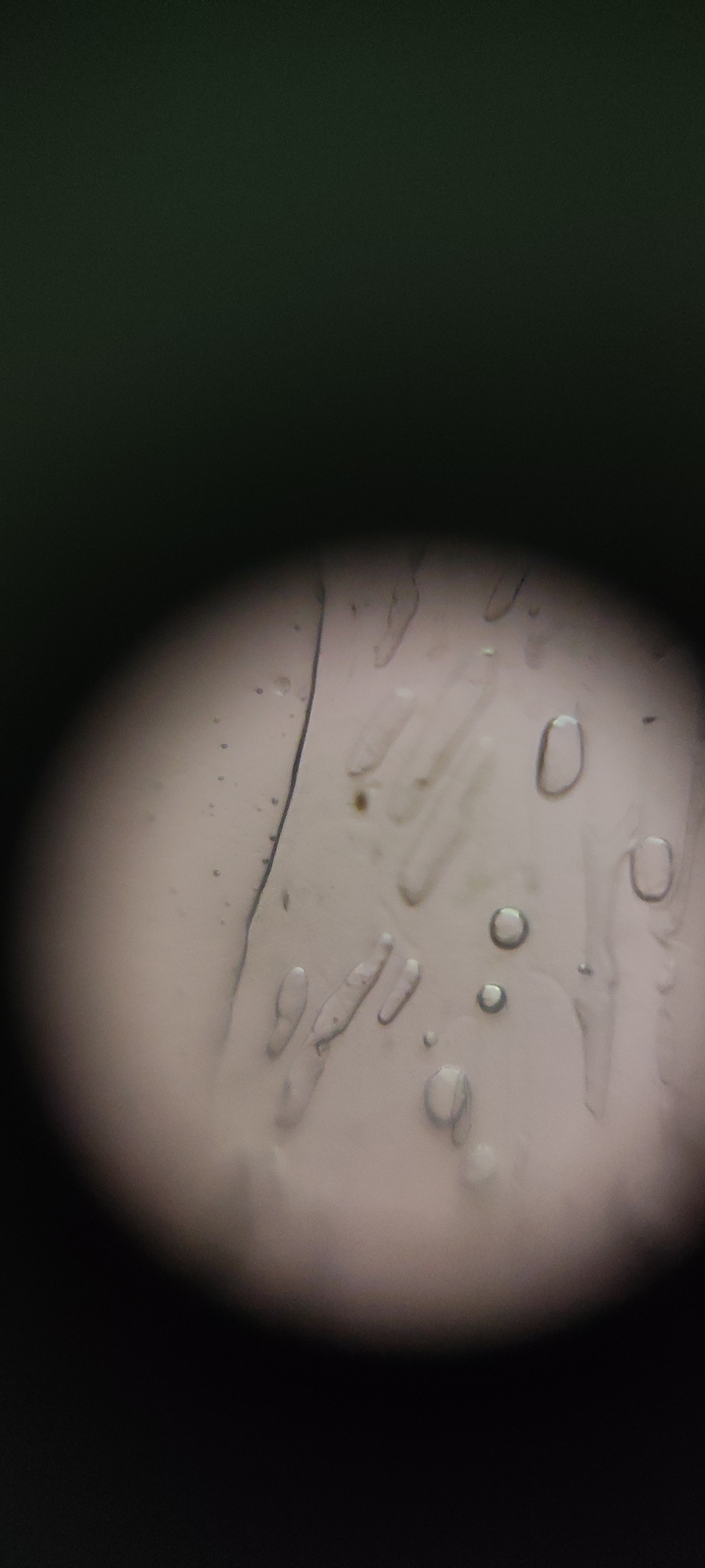 post_media%2F36Lg6k5SZYcF3RDFWlf1yKRaAcG3%2Fnopid%2F814j48g7cd_IMG_20250808_112904.jpg?alt=media&token=bf30115e-c42b-431f-a012-2a2d502d5952