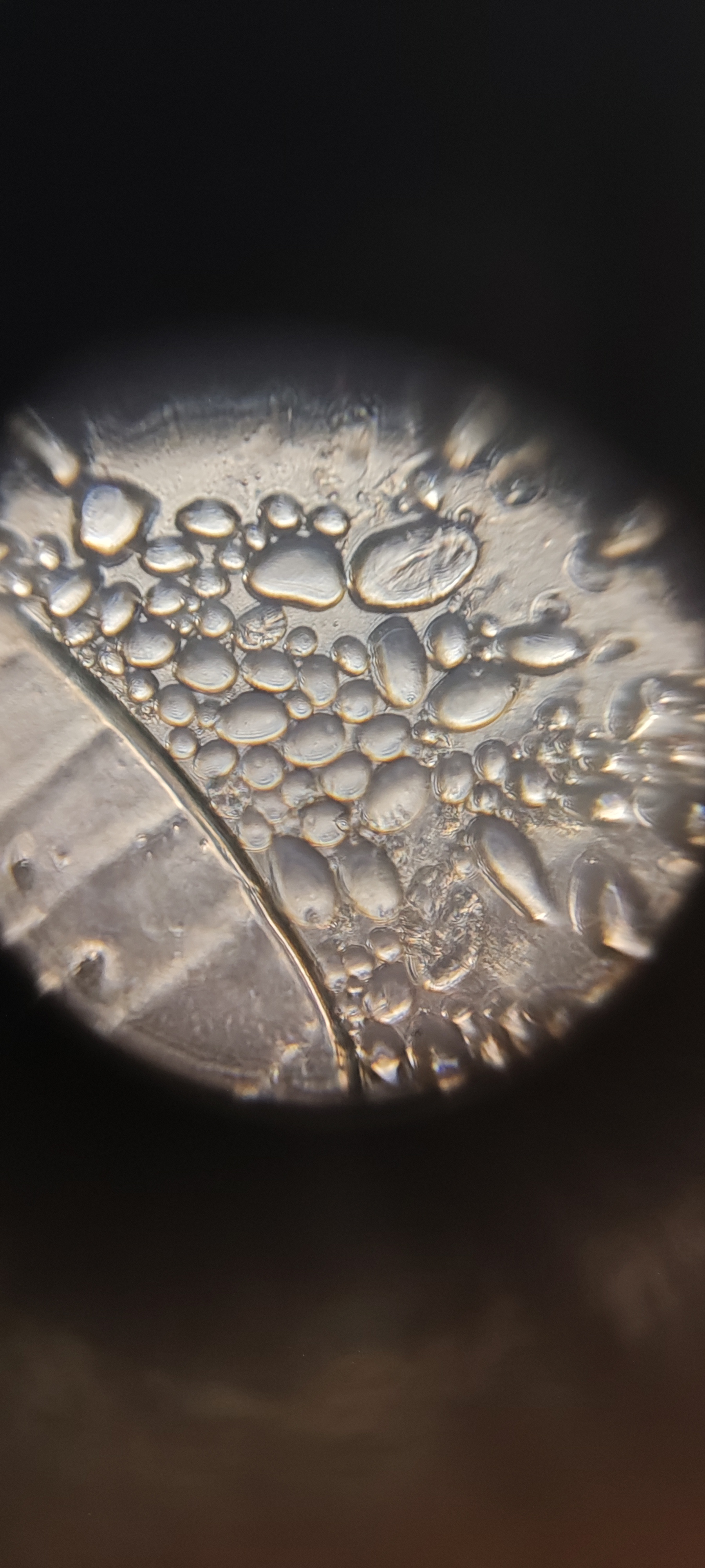 post_media%2F36Lg6k5SZYcF3RDFWlf1yKRaAcG3%2Fnopid%2Fd6g1wolwn7_IMG_20250808_122029.jpg?alt=media&token=f699b92d-383a-43eb-84b0-c07dc33b2037