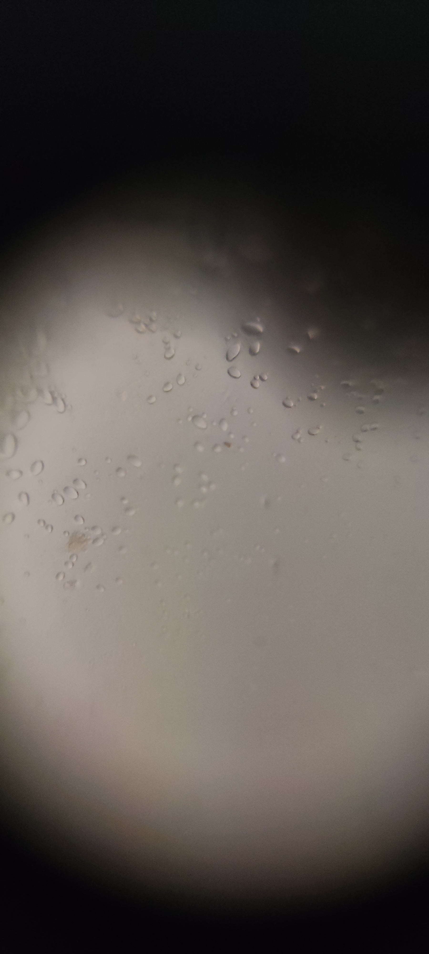 post_media%2F36Lg6k5SZYcF3RDFWlf1yKRaAcG3%2Fnopid%2Fr5rns8t68u_IMG_20250808_121402.jpg?alt=media&token=eb9b1724-96ea-47b6-a28f-32c618e353dd