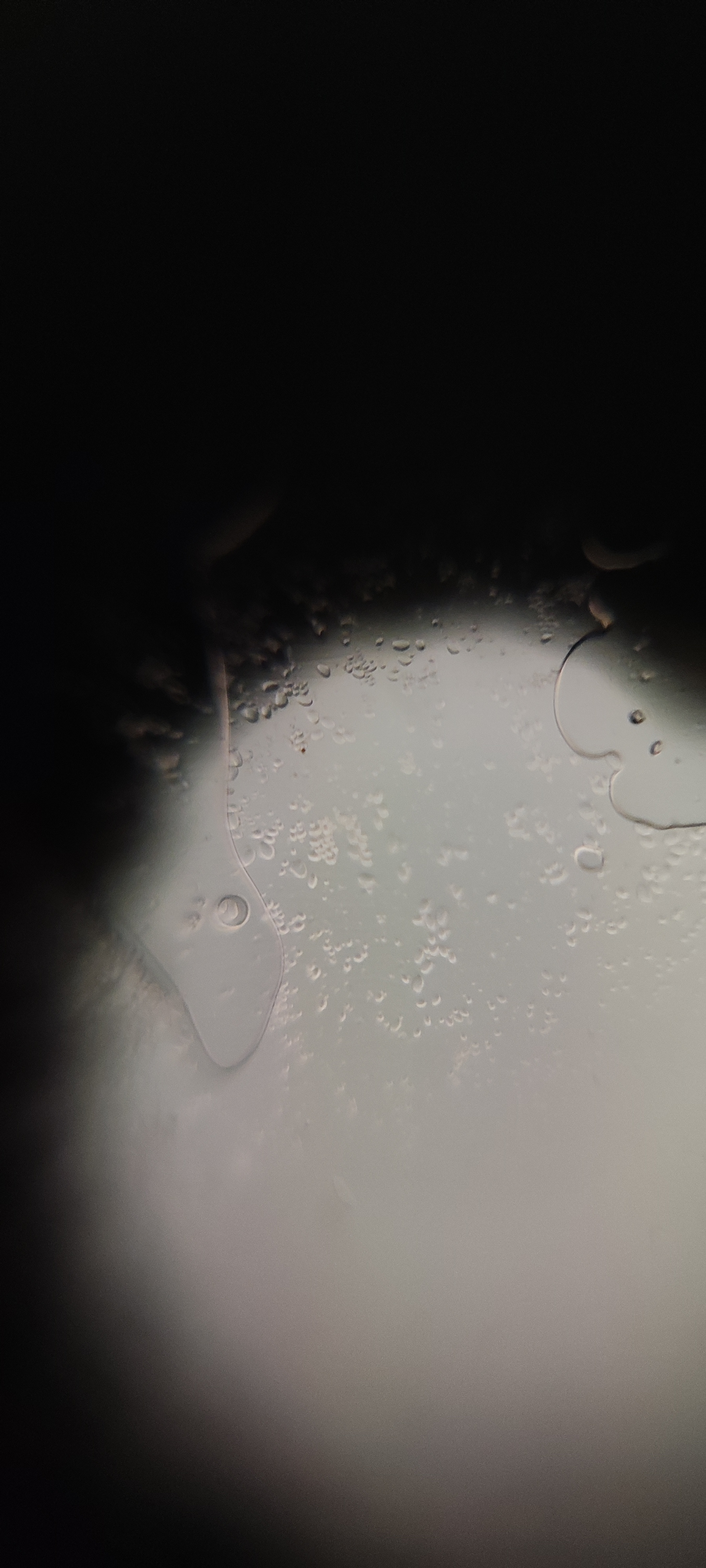 post_media%2F36Lg6k5SZYcF3RDFWlf1yKRaAcG3%2Fnopid%2Fyq0bt186wq_IMG_20250808_121053.jpg?alt=media&token=3105a0fe-5d04-432c-a2c4-67738fef50f2