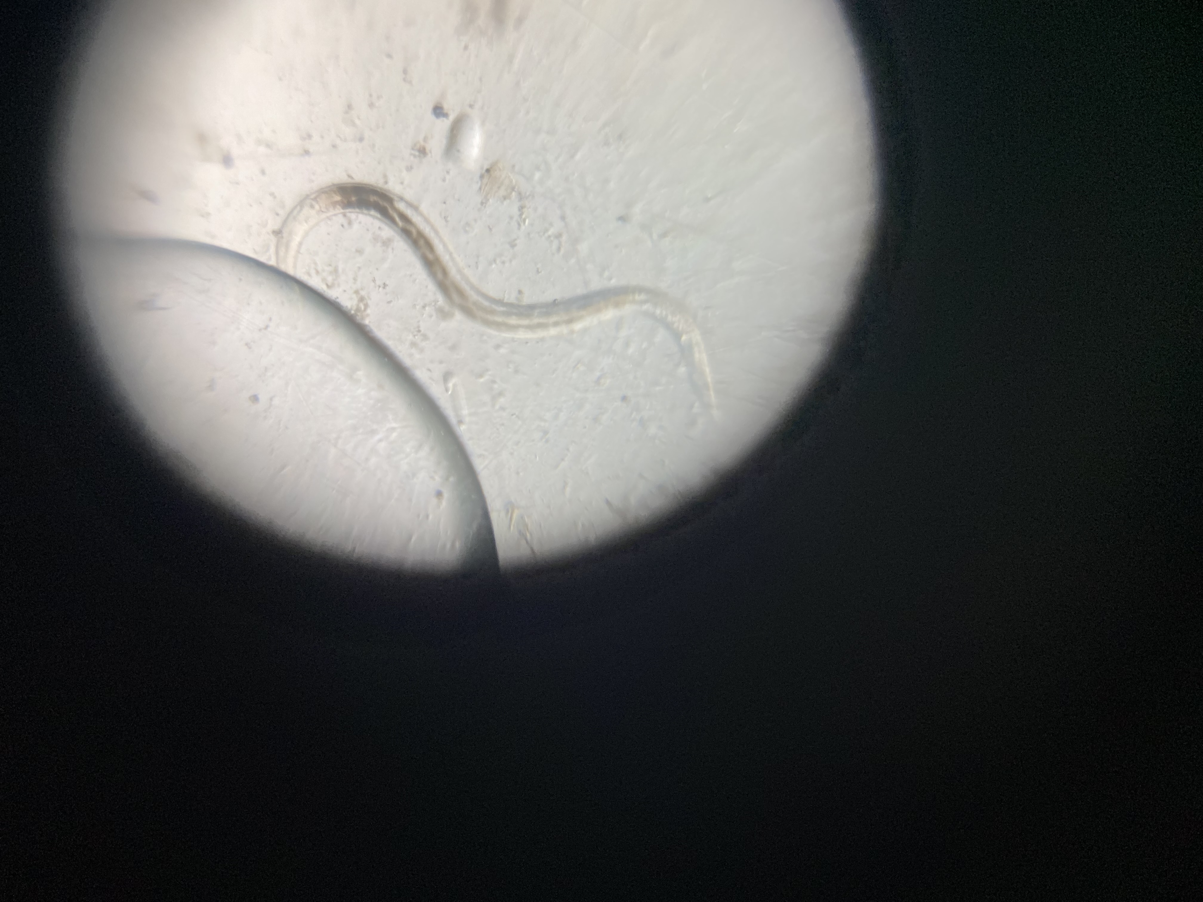 post_media%2F38C3mN8QcThIRNthL82EvtgGFrG2%2F8zFwONWK2JbY51oJVebI%2F0k5ylq2kde_IMG_9629.jpg?alt=media&token=17639893-ffe1-4007-aa4c-535d12223cf4