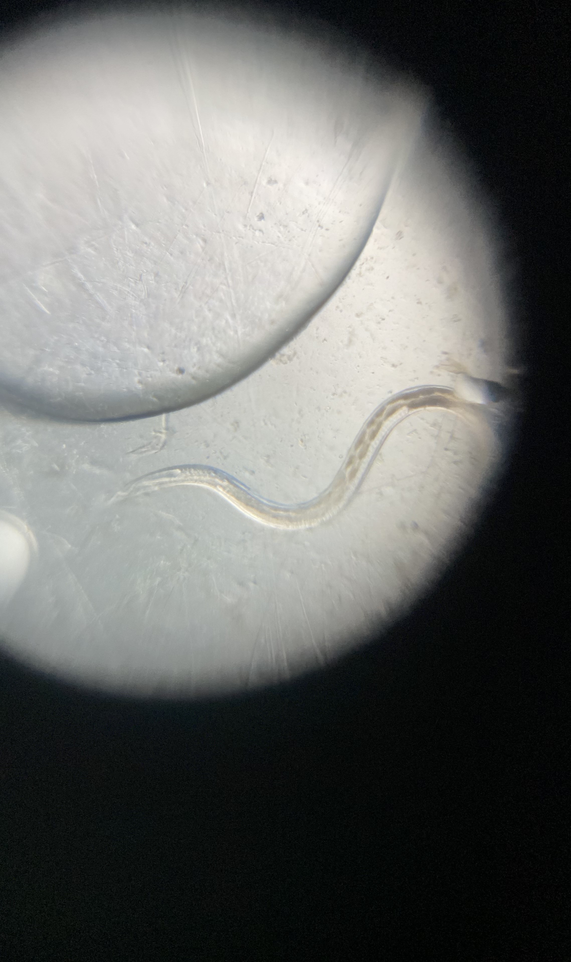 post_media%2F38C3mN8QcThIRNthL82EvtgGFrG2%2F8zFwONWK2JbY51oJVebI%2Fmbbr5w89wg_IMG_9628.jpg?alt=media&token=164e9336-1425-4fc7-aa07-d825ce820801