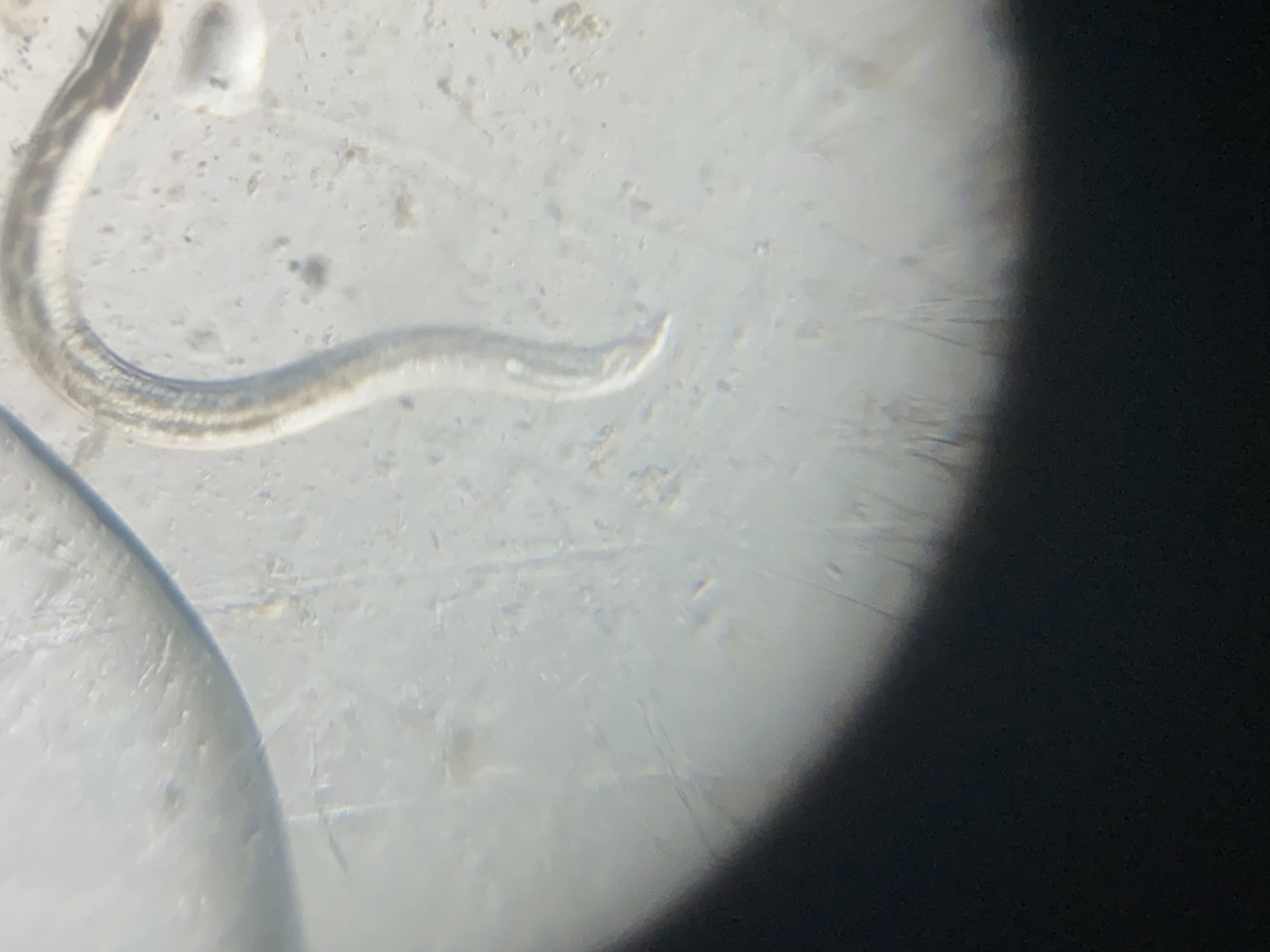 post_media%2F38C3mN8QcThIRNthL82EvtgGFrG2%2F8zFwONWK2JbY51oJVebI%2Fqnyq4ssuxm_IMG_9631.jpg?alt=media&token=0b05101d-57cf-45ed-95db-04ad4fd2301b