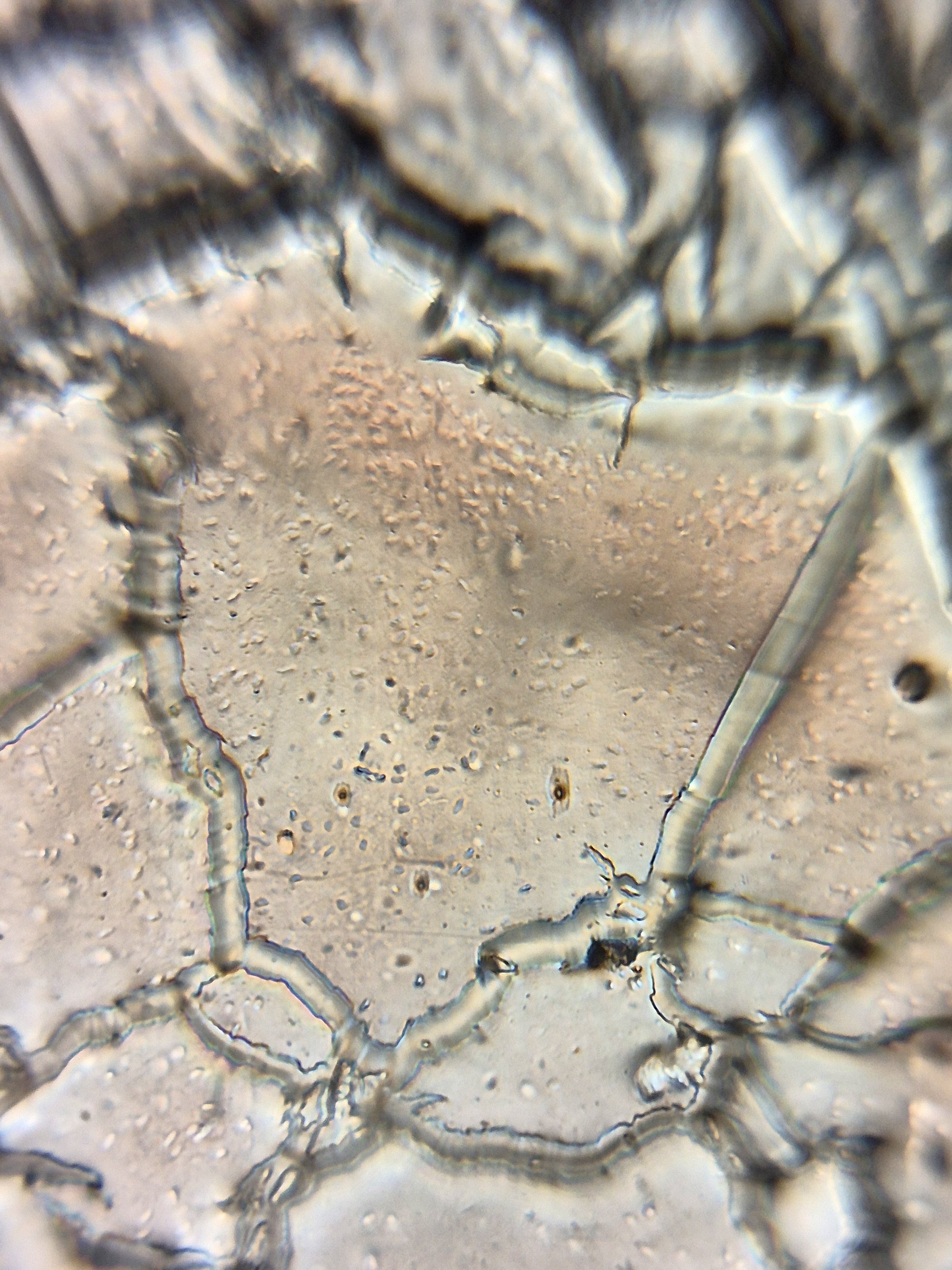 post_media%2F4mcTn3lZJATXEeWlTTGDgC8GaMa2%2Fnopid%2Fdkbe11k098_20260403_051539%20(1).jpg?alt=media&token=5658c0f3-882c-44f4-a38e-3555f3a313c1