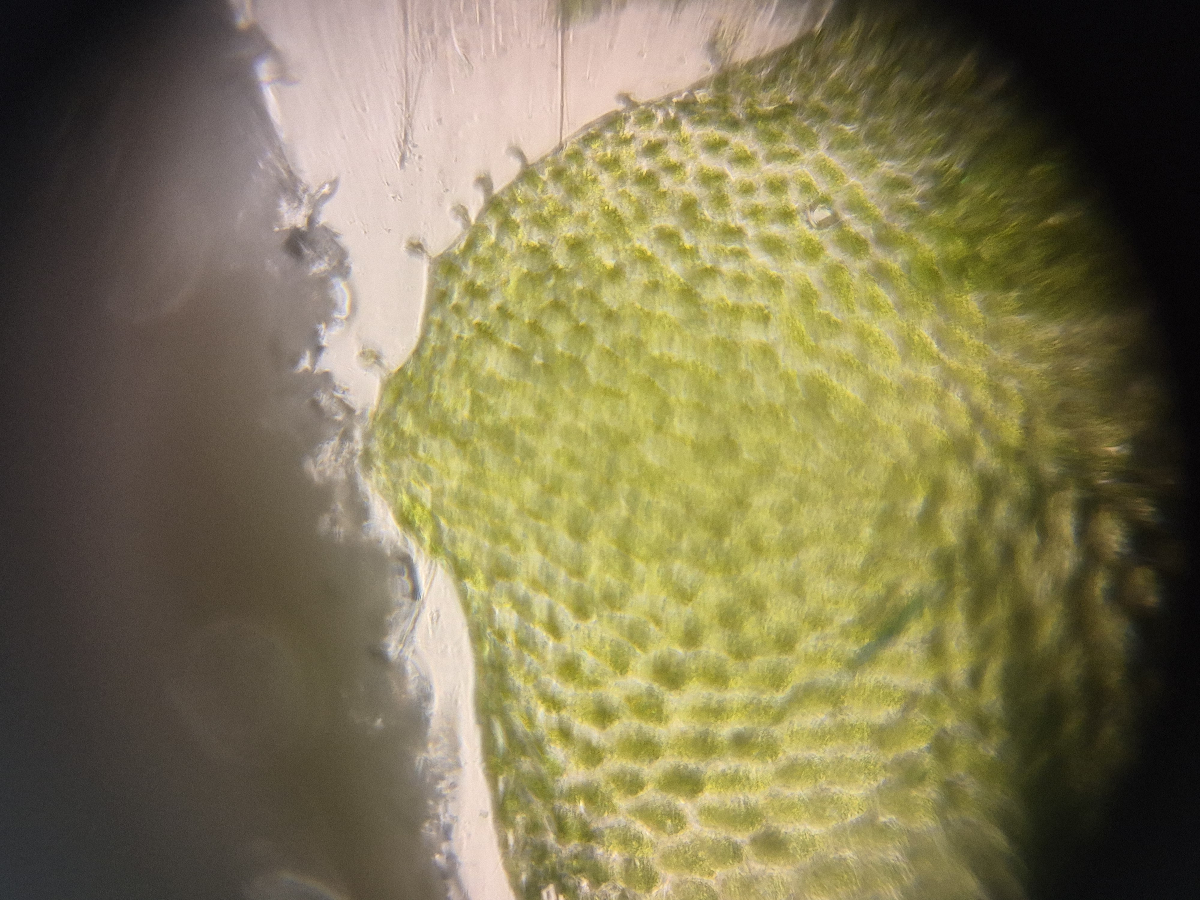 post_media%2F4mcTn3lZJATXEeWlTTGDgC8GaMa2%2Fnopid%2Fqo9dulgn6f_20260402_153434.jpg?alt=media&token=2dea1de2-a9de-4634-8826-0ec37e30bfac