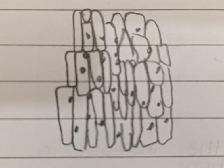 post_media%2F6pNLQeQVNmTRjAJEqFnD3z91Dxf1%2FeCKoC5DvhGJyNeq39dKT%2F9gvh7xwosn_0.jpg?alt=media&token=68e871e4-676b-47c8-af4b-0ebd2f273de0