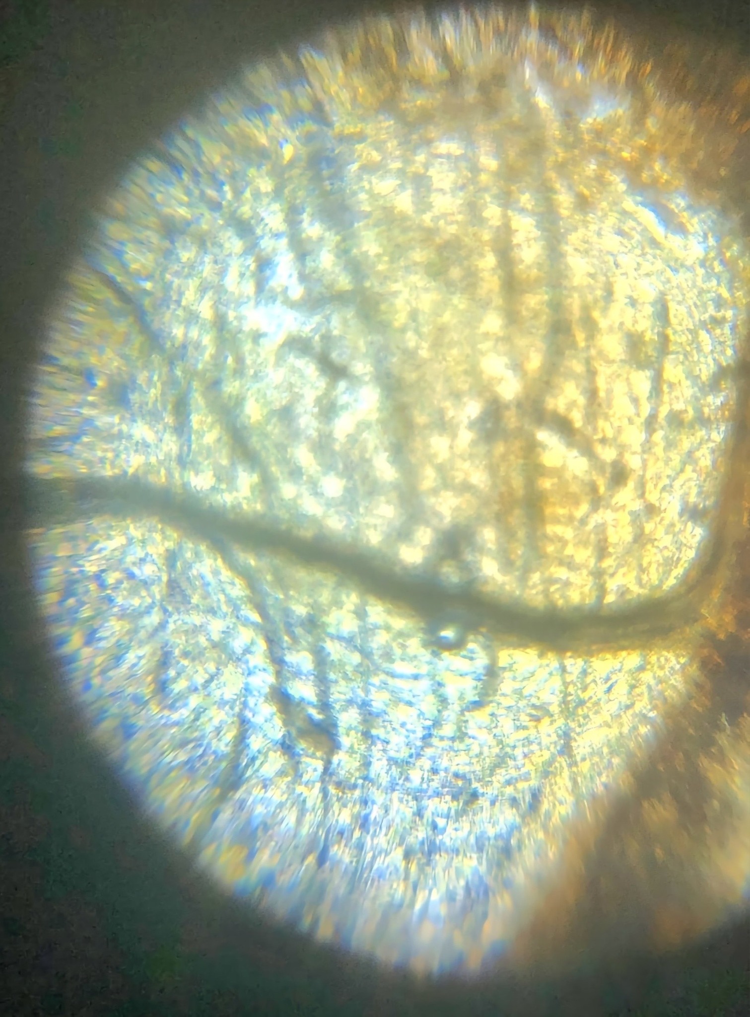 post_media%2F8445%2Fnopid%2F17f0hhp5k2_3.jpg?alt=media&token=655775ac-bd24-4888-8654-8cbae0290c60