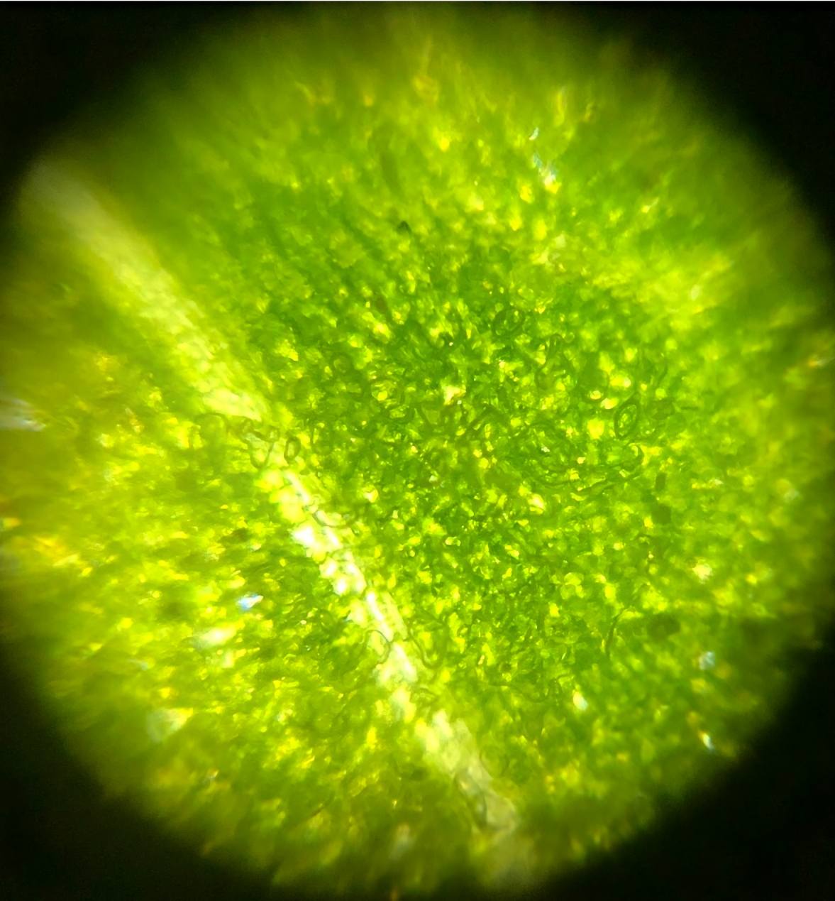 post_media%2F8445%2Fnopid%2F2dyo6lyq0y_6.jpg?alt=media&token=34104cb1-8c52-4ee2-8119-9e00423e1dce