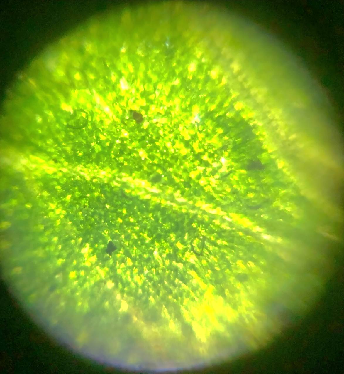 post_media%2F8445%2Fnopid%2F89hjq0wed5_7.jpg?alt=media&token=68bbbe5b-7677-4a0b-9d46-ed0e2623a80c