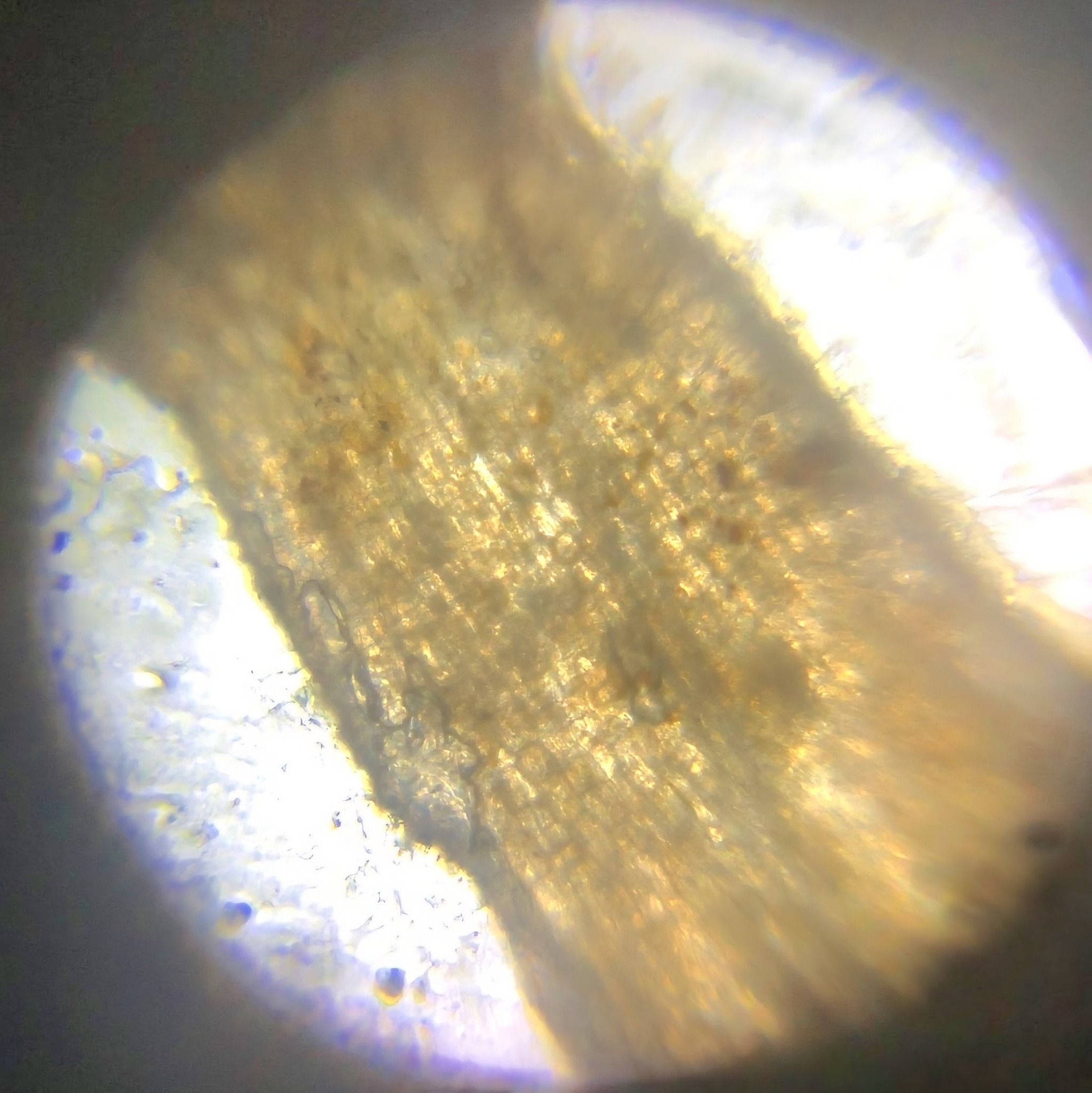 post_media%2F8445%2Fnopid%2Fbjoj3c8bhk_5.jpg?alt=media&token=16408aa6-865d-4018-9b25-e25f344a80f1