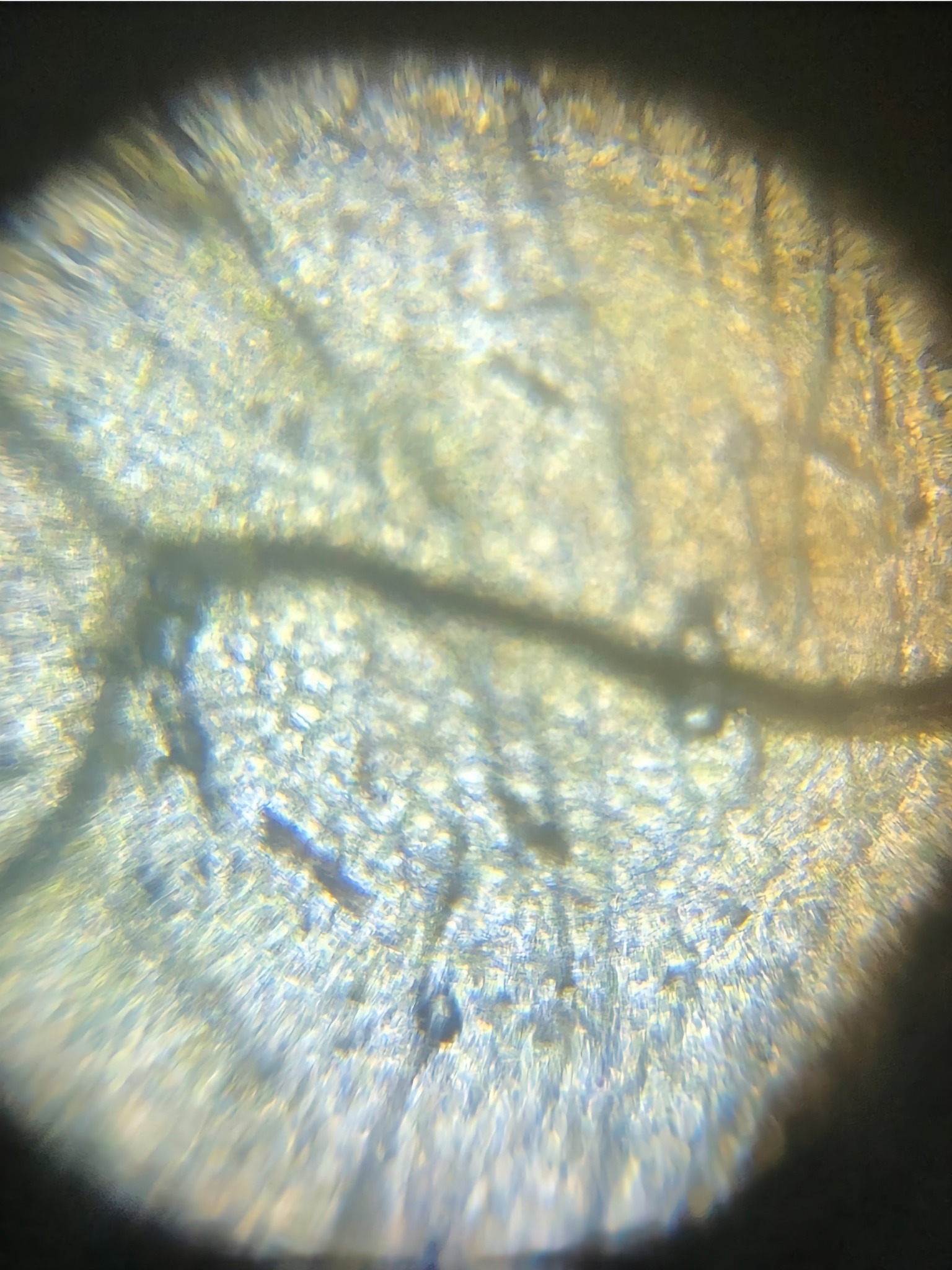 post_media%2F8445%2Fnopid%2Fyvqutyyy3a_2.jpg?alt=media&token=4506183a-3f28-4e97-9c18-4c56e779a8c8