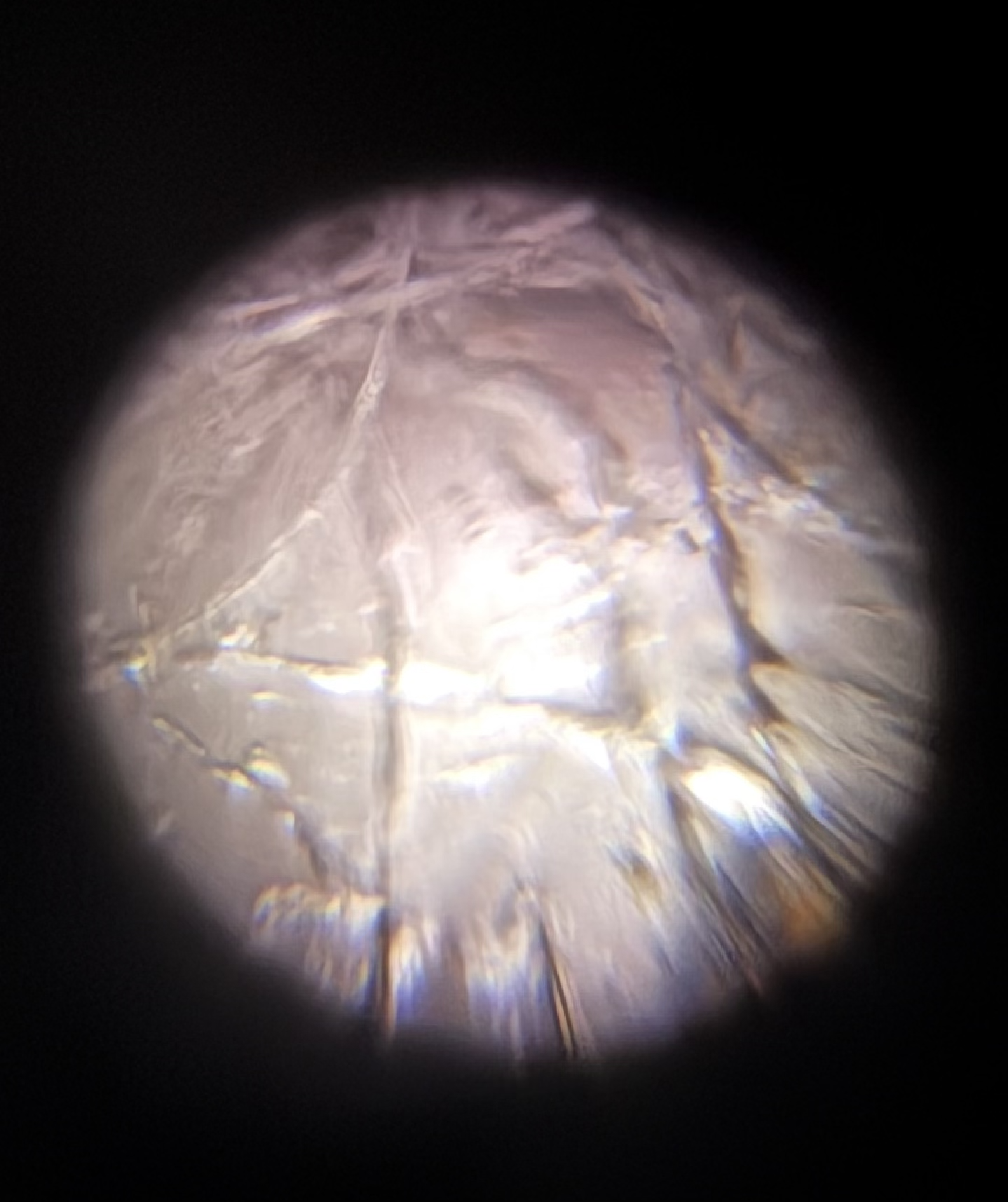 post_media%2F8MJVlAMLevRETpCEdBuSo1ZUyfk1%2FKI6ezIofRLiyUe0gZTH9%2F983thghjru_PNG.qtip.png?alt=media&token=d117a13b-196f-49a8-9da8-81c55e32a9fa