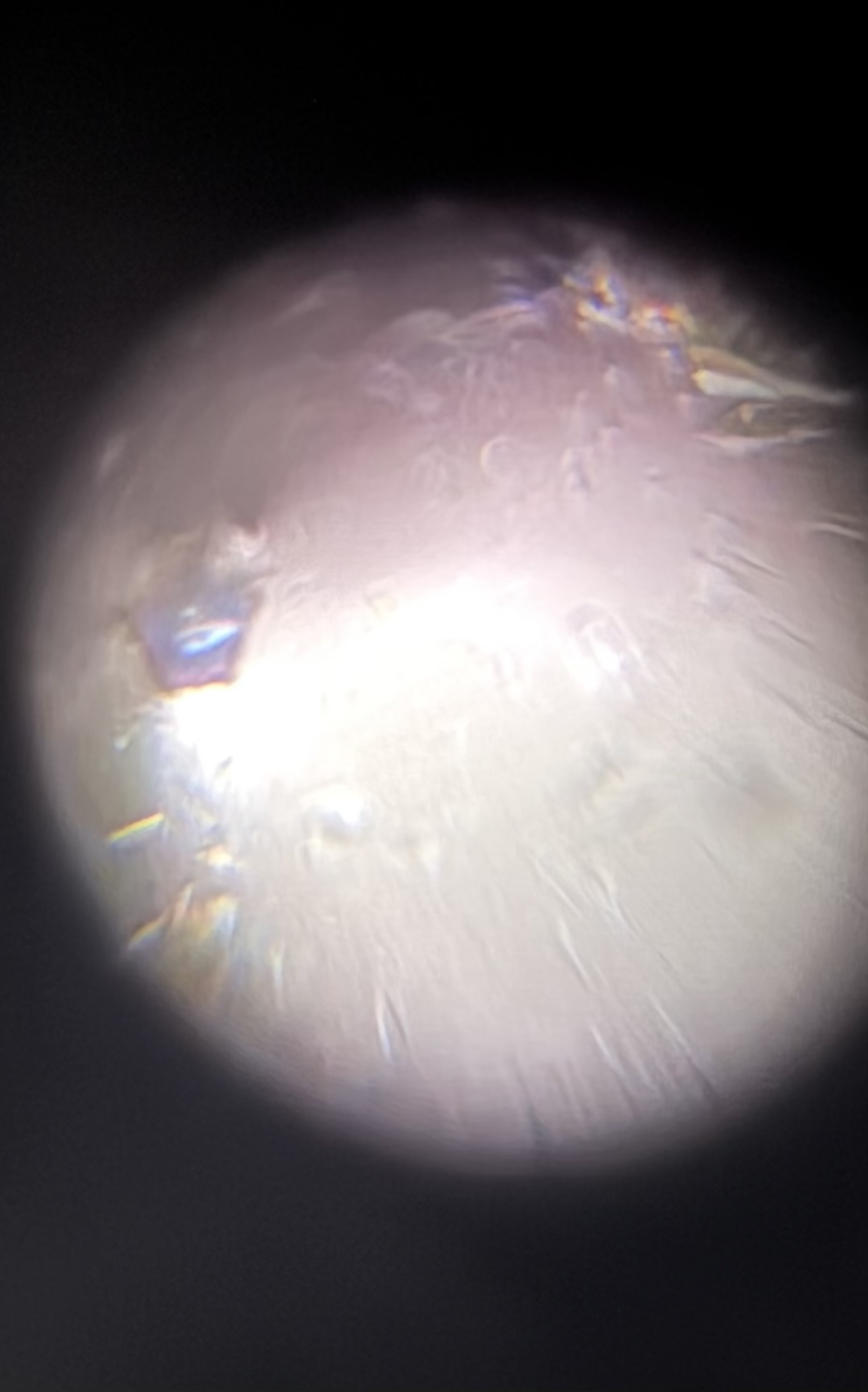 post_media%2F8MJVlAMLevRETpCEdBuSo1ZUyfk1%2FKI6ezIofRLiyUe0gZTH9%2Frgdgw234q5_PNG.glitter.png?alt=media&token=1a9fc357-1763-4a4e-ac5f-44f509638ec3