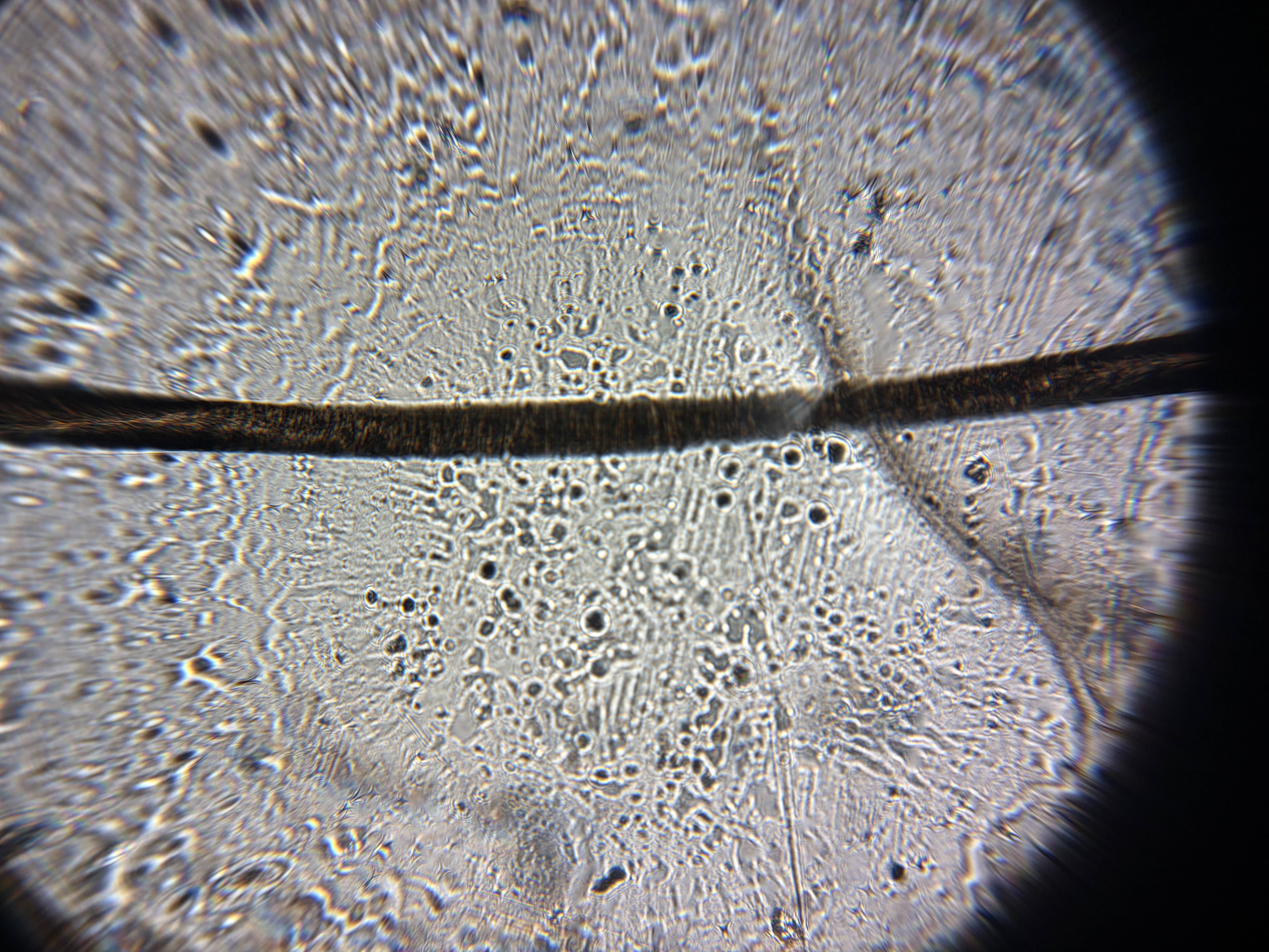 post_media%2F8zwFauxfdMONJS4hNkLMb4OmNF92%2Fnopid%2F2t298on5pi_IMG_4760.JPG?alt=media&token=f9b52ae6-a08b-4046-8e74-10d9b3c1c7b4