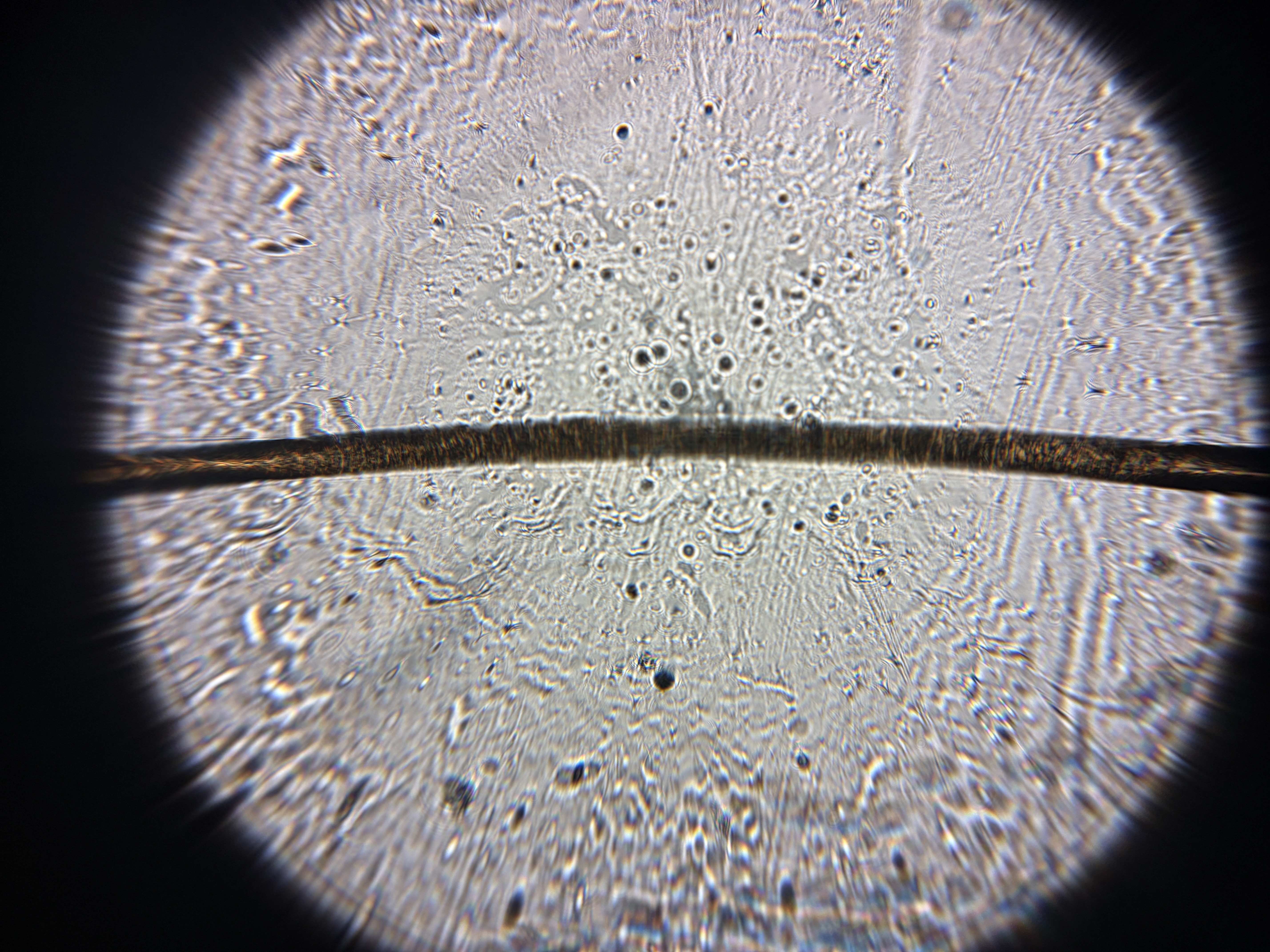 post_media%2F8zwFauxfdMONJS4hNkLMb4OmNF92%2Fnopid%2F4wc91sjme4_IMG_4763.JPG?alt=media&token=a4c3d164-7ffd-4641-baae-a95056ae20bf