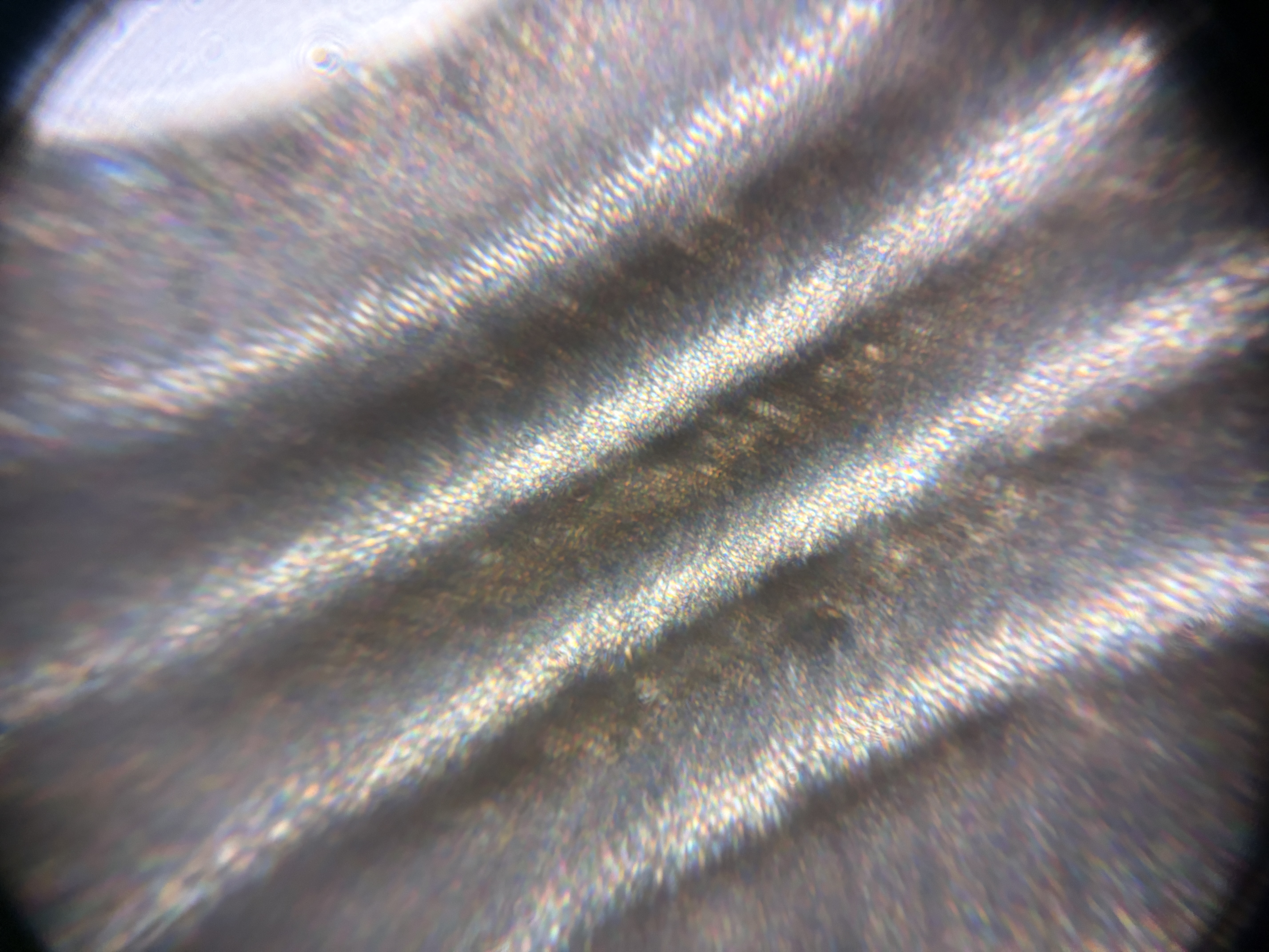 post_media%2F8zwFauxfdMONJS4hNkLMb4OmNF92%2Fnopid%2F9q34ycezt1_IMG_4797.JPG?alt=media&token=33d0b0d2-dddd-412e-8aab-c76d69776d5a