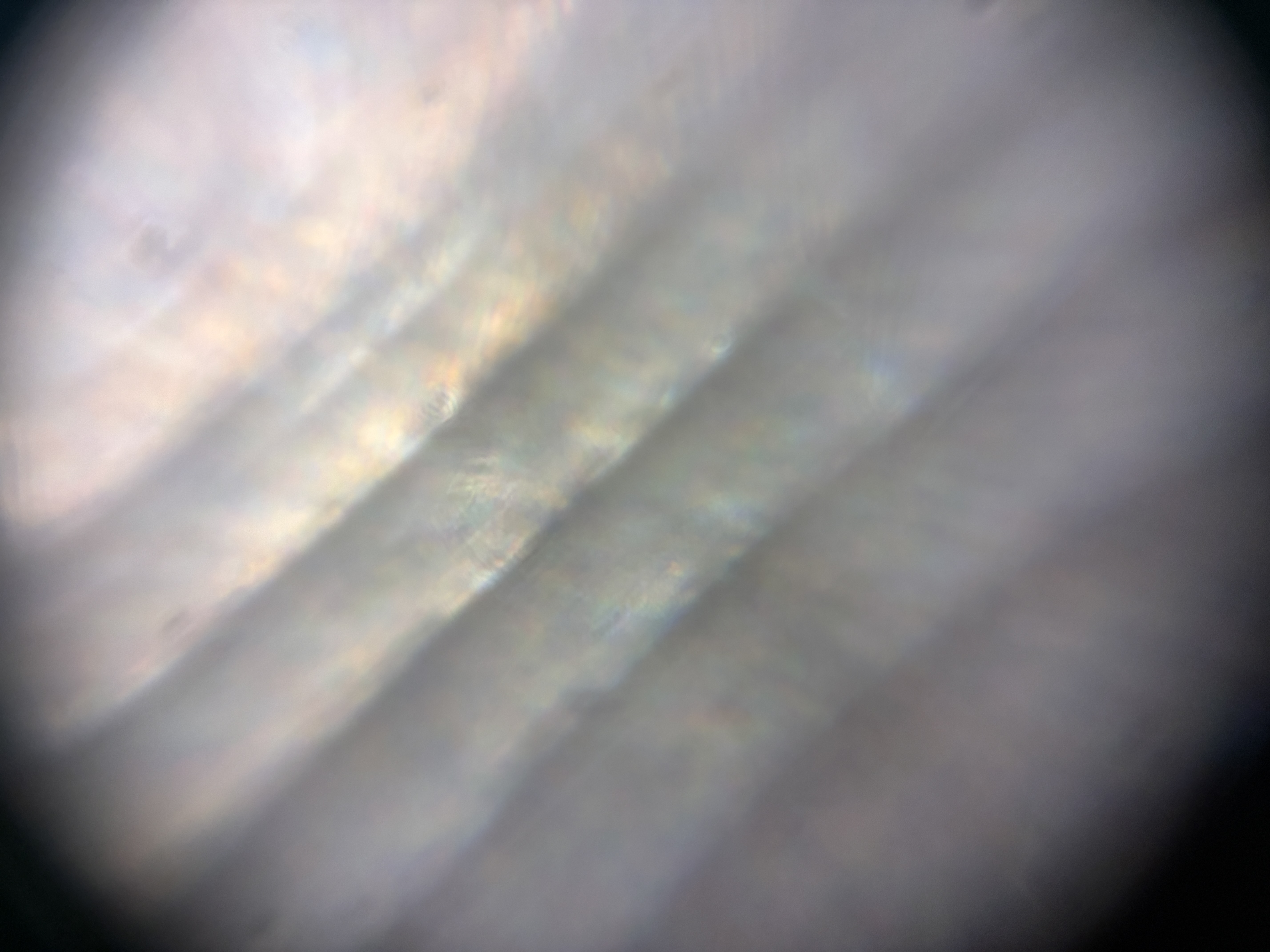 post_media%2F8zwFauxfdMONJS4hNkLMb4OmNF92%2Fnopid%2Fp0d543heb1_IMG_4775.JPG?alt=media&token=0fc85f51-e83e-446b-b9b0-642739cc2eaa