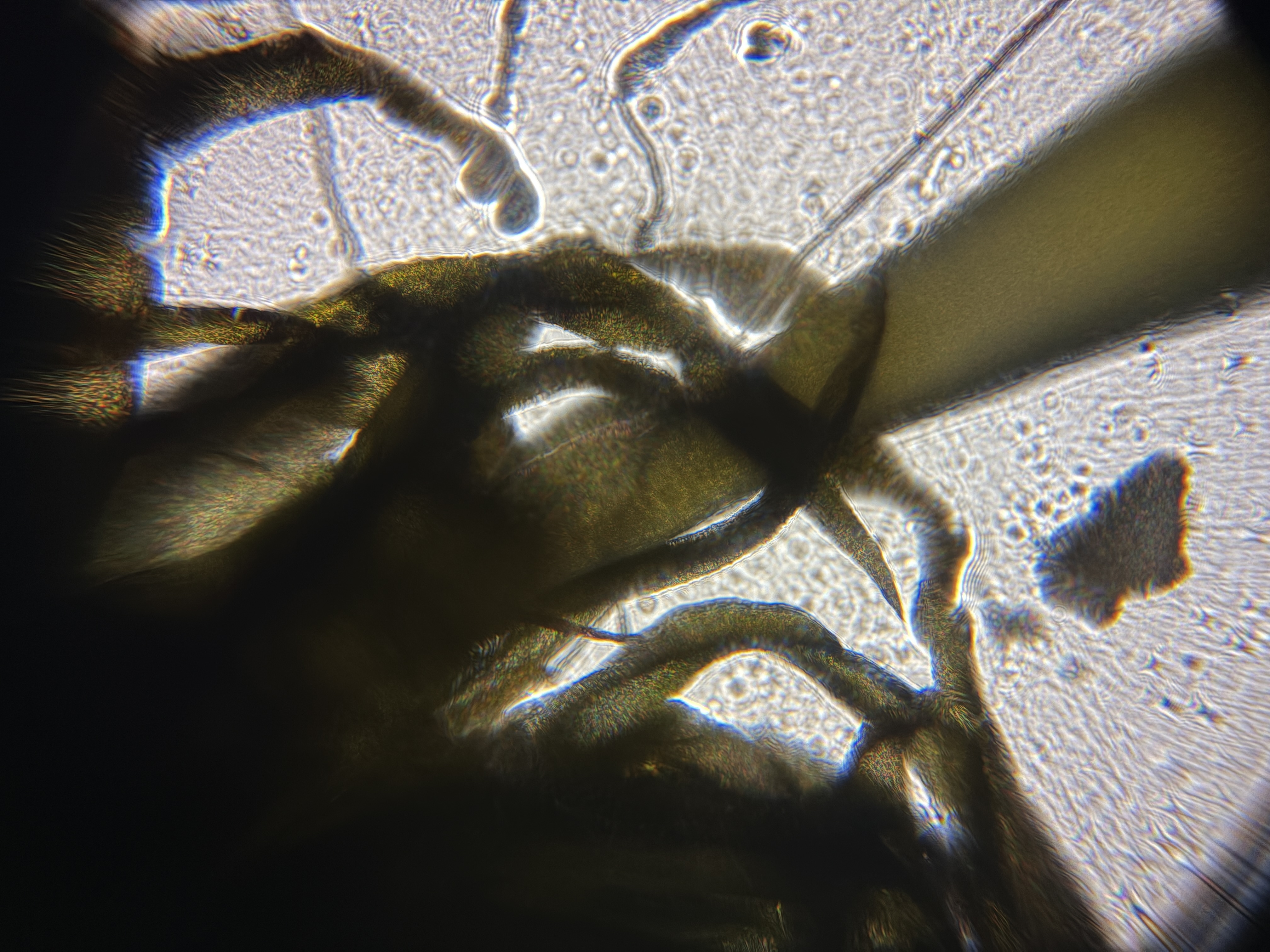 post_media%2F8zwFauxfdMONJS4hNkLMb4OmNF92%2Fnopid%2Frut9hc2u9x_IMG_4829.JPG?alt=media&token=7075204e-2309-4a68-85ae-340b9c8de9eb